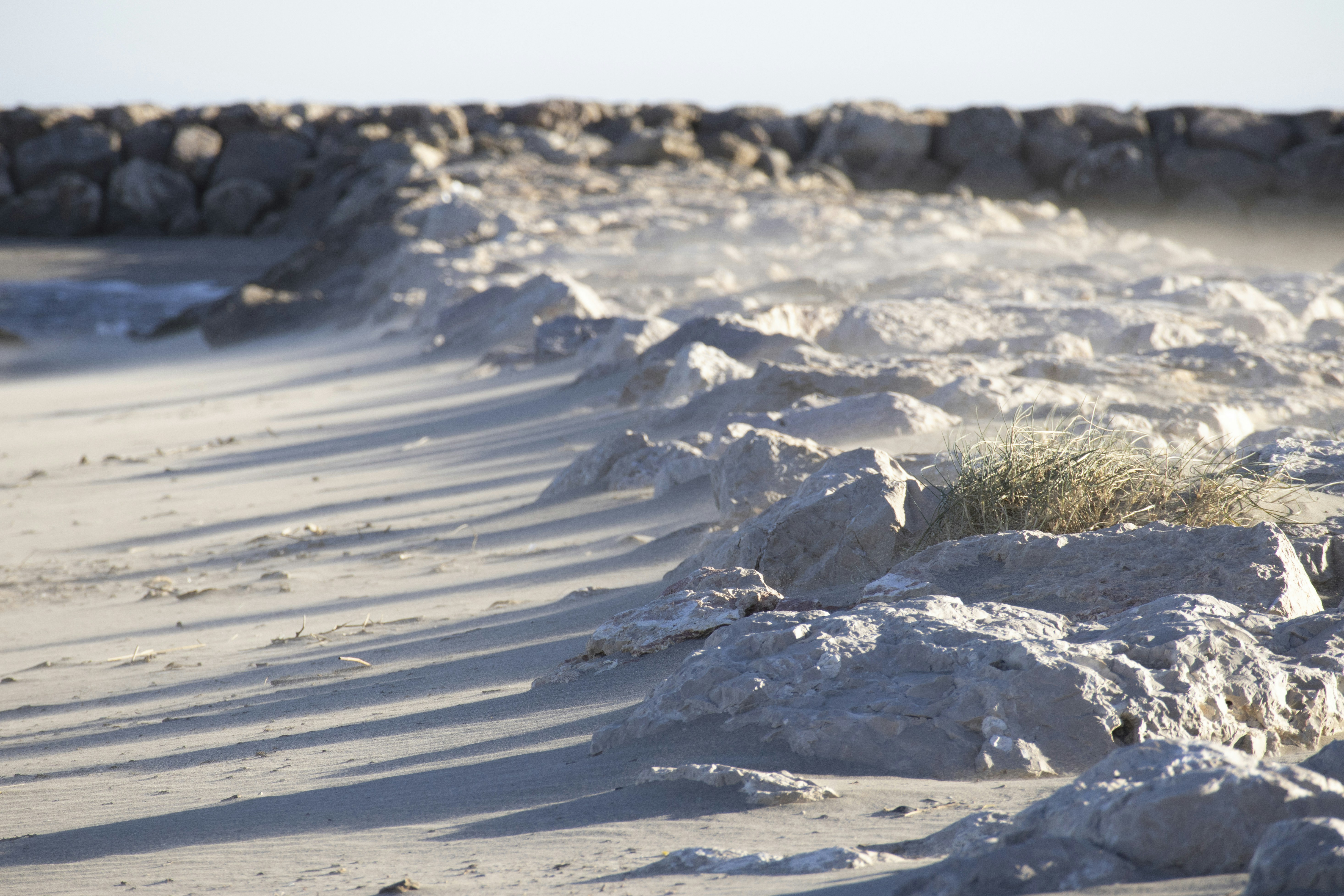 Photo by amandine_bataille_photo