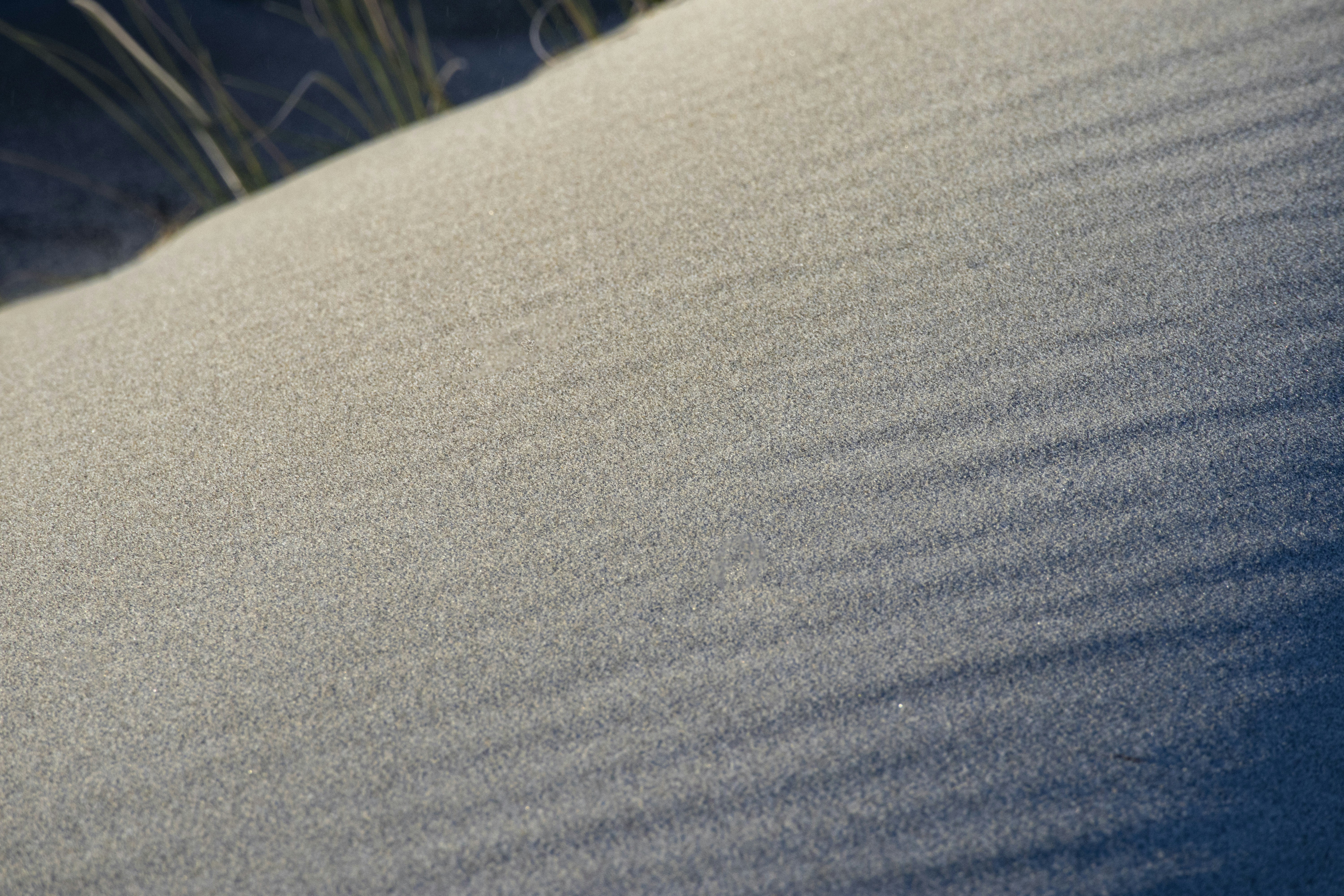 Photo by amandine_bataille_photo