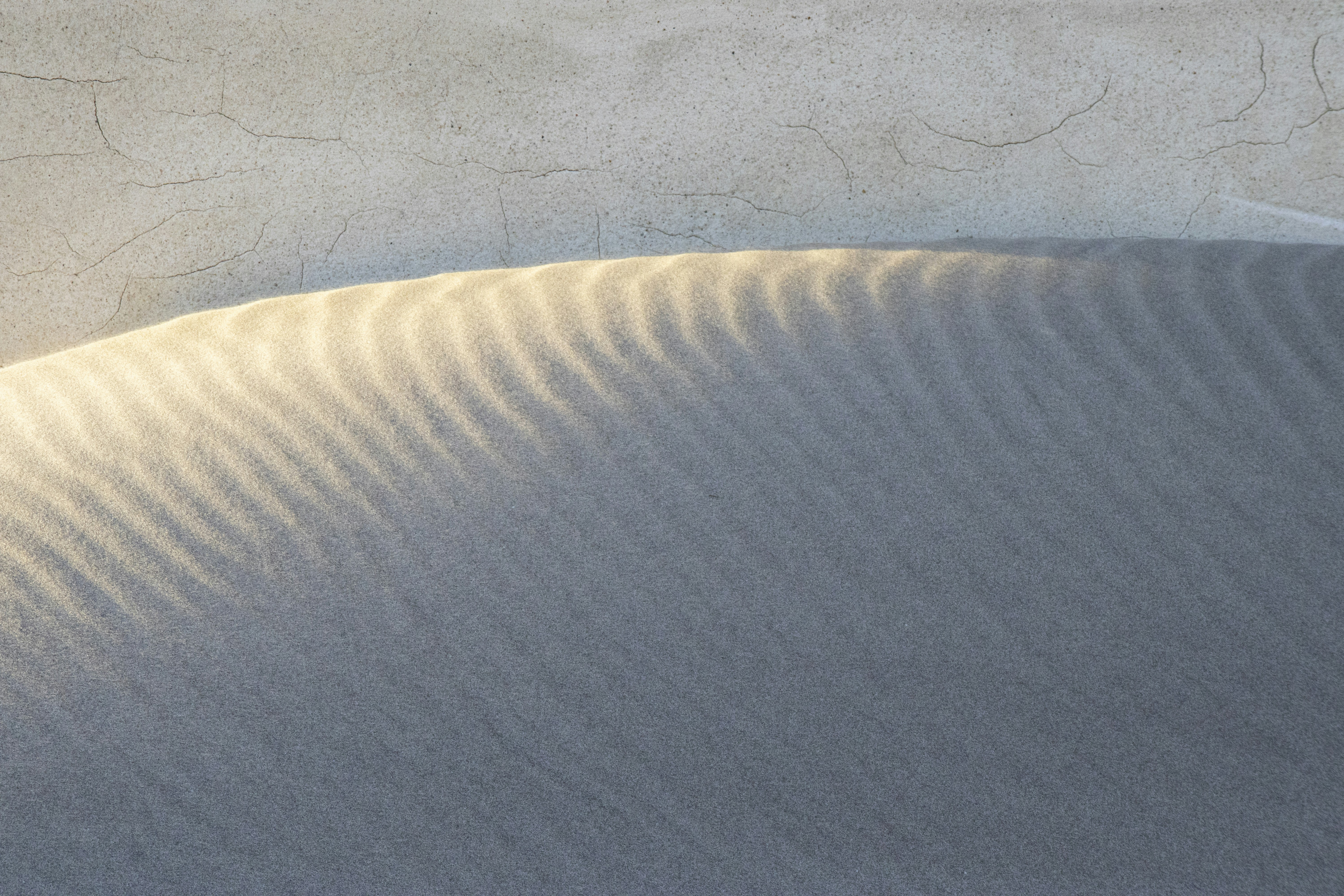 the shadow of a bird on the sand
