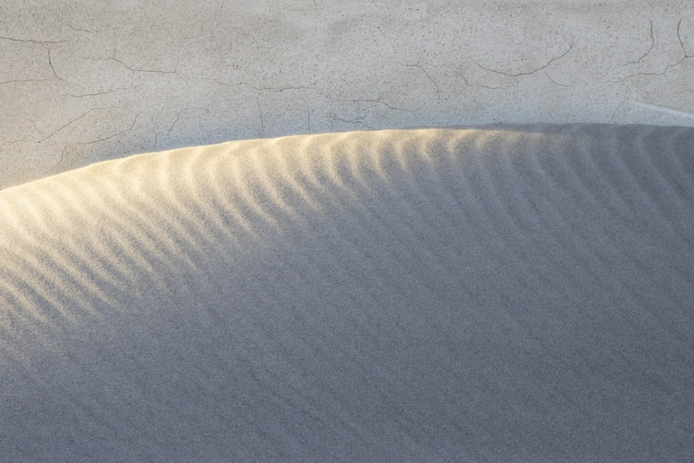the shadow of a bird on the sand