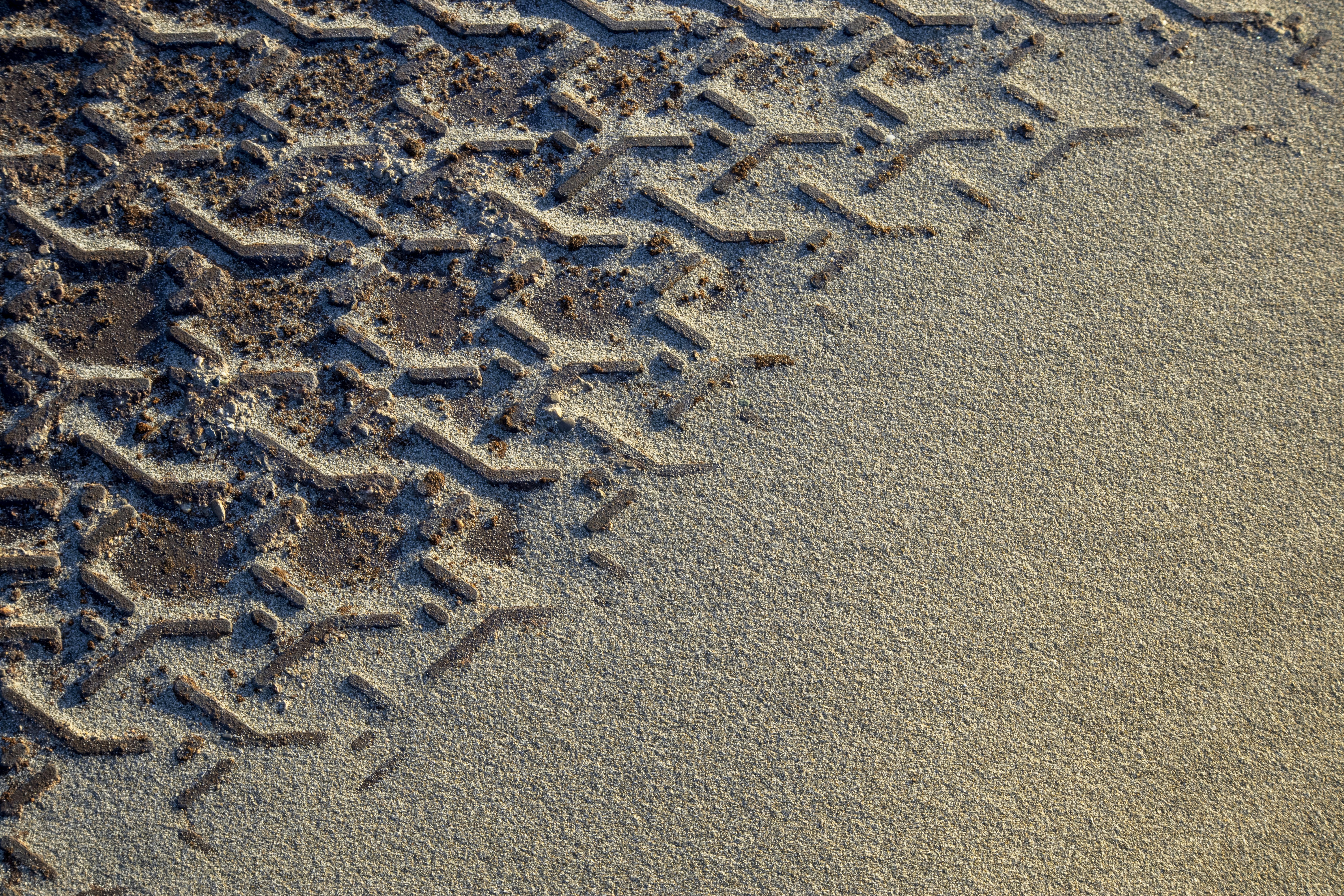 Photo by amandine_bataille_photo