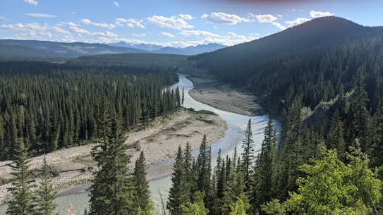 A serene landscape of a winding river cutting through a dense forest of coniferous trees, with mountains visible in the background under a blue sky with scattered clouds. The scene is peaceful and expansive, showcasing the beauty of untouched natural wilderness.