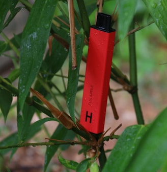 a red lighter sitting on top of a green plant