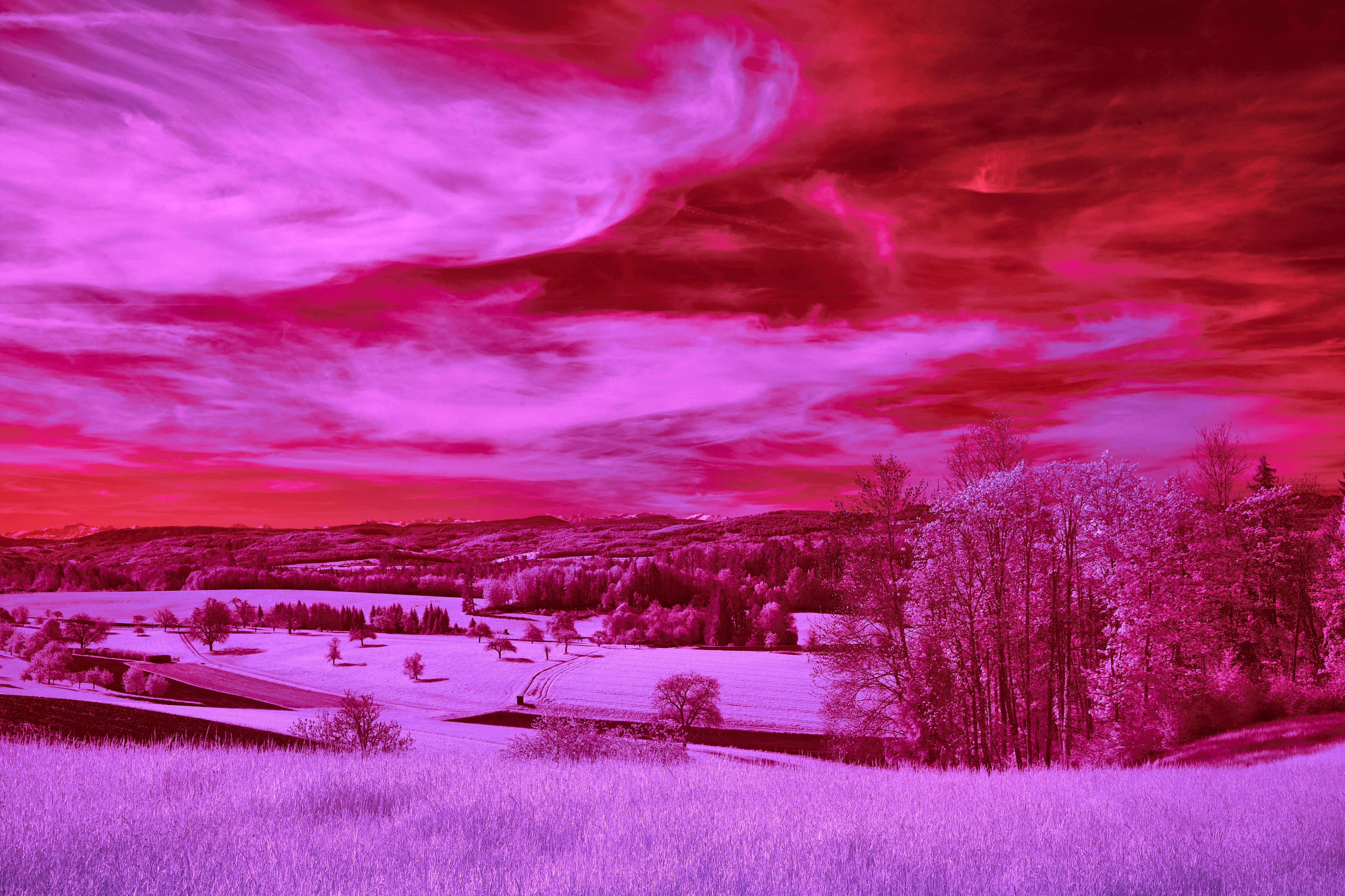 Photo by wolfgang_hasselmann