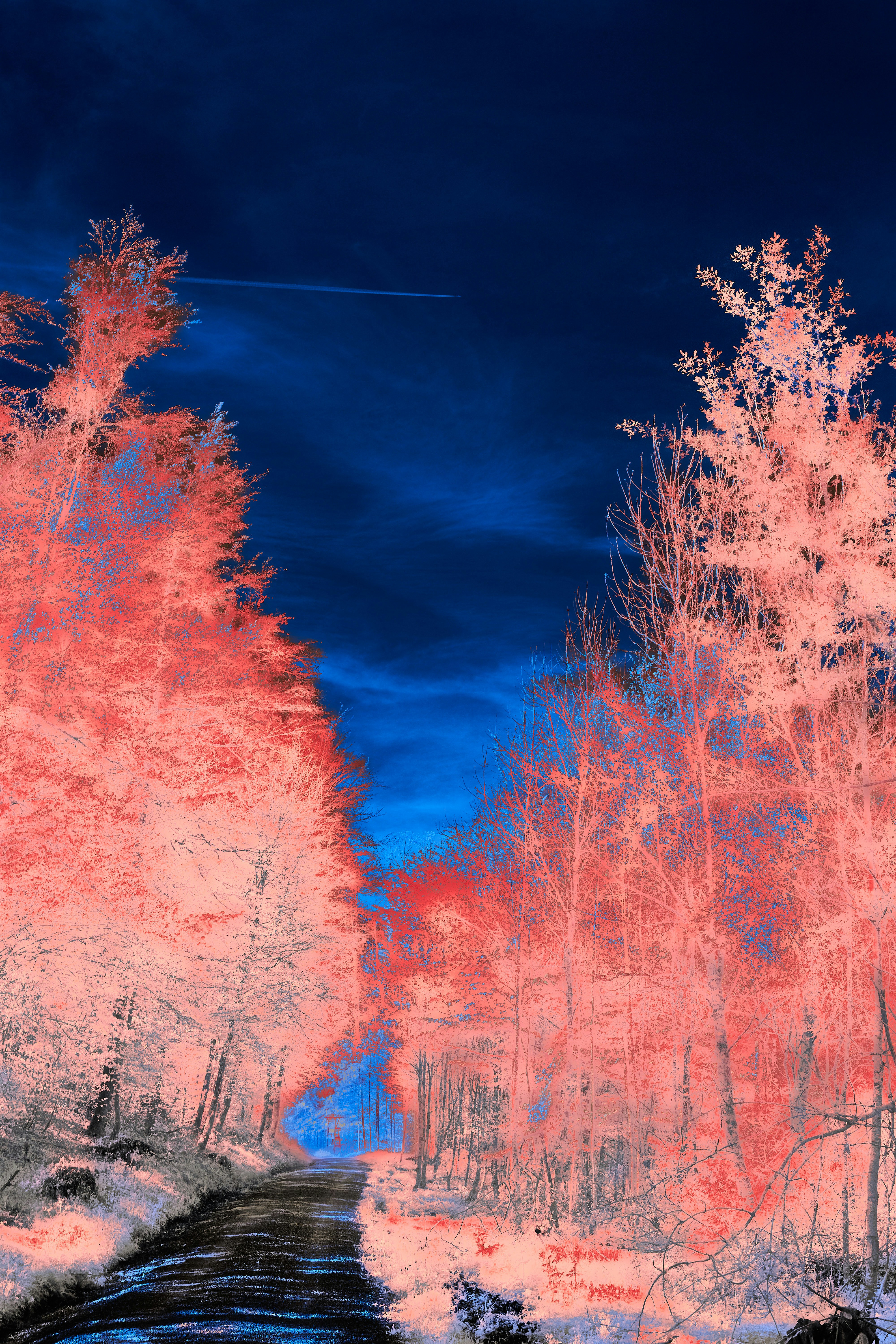 Photo by wolfgang_hasselmann