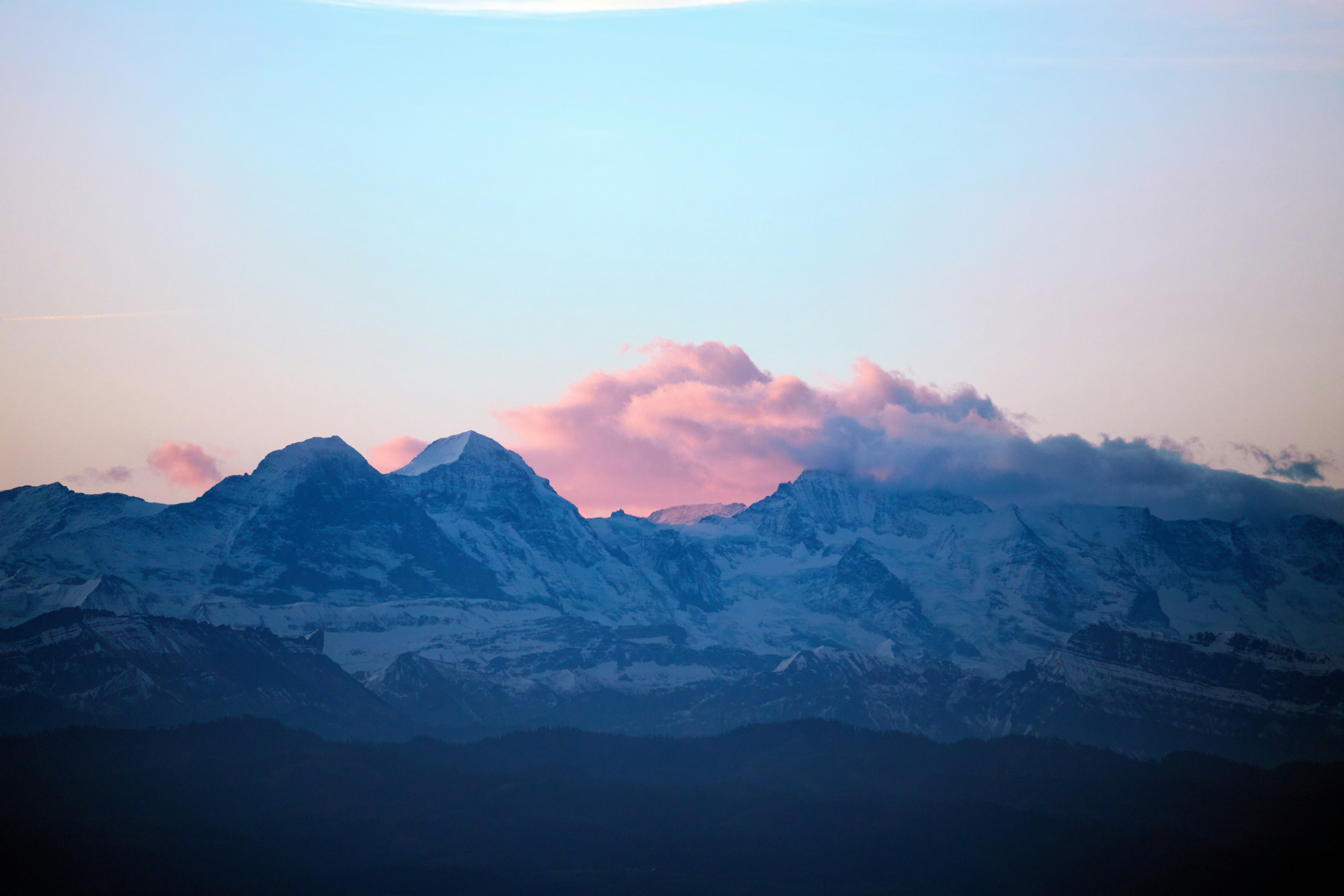 Photo by wolfgang_hasselmann