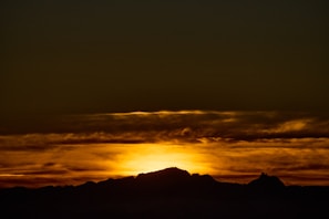 Sunset glow illuminating the silhouette of the spectacled bear guarding the paramo landscape.