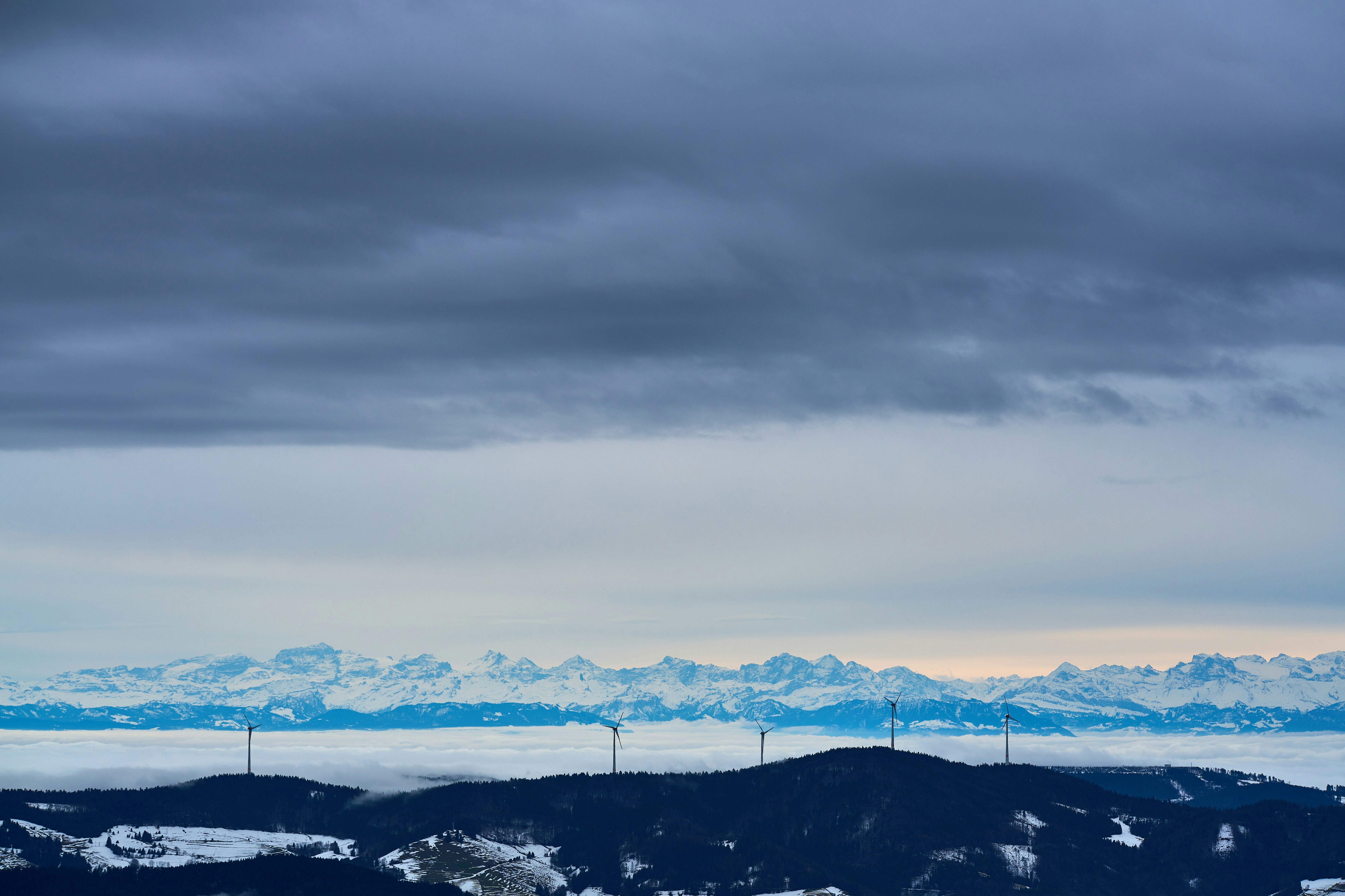 Photo by wolfgang_hasselmann