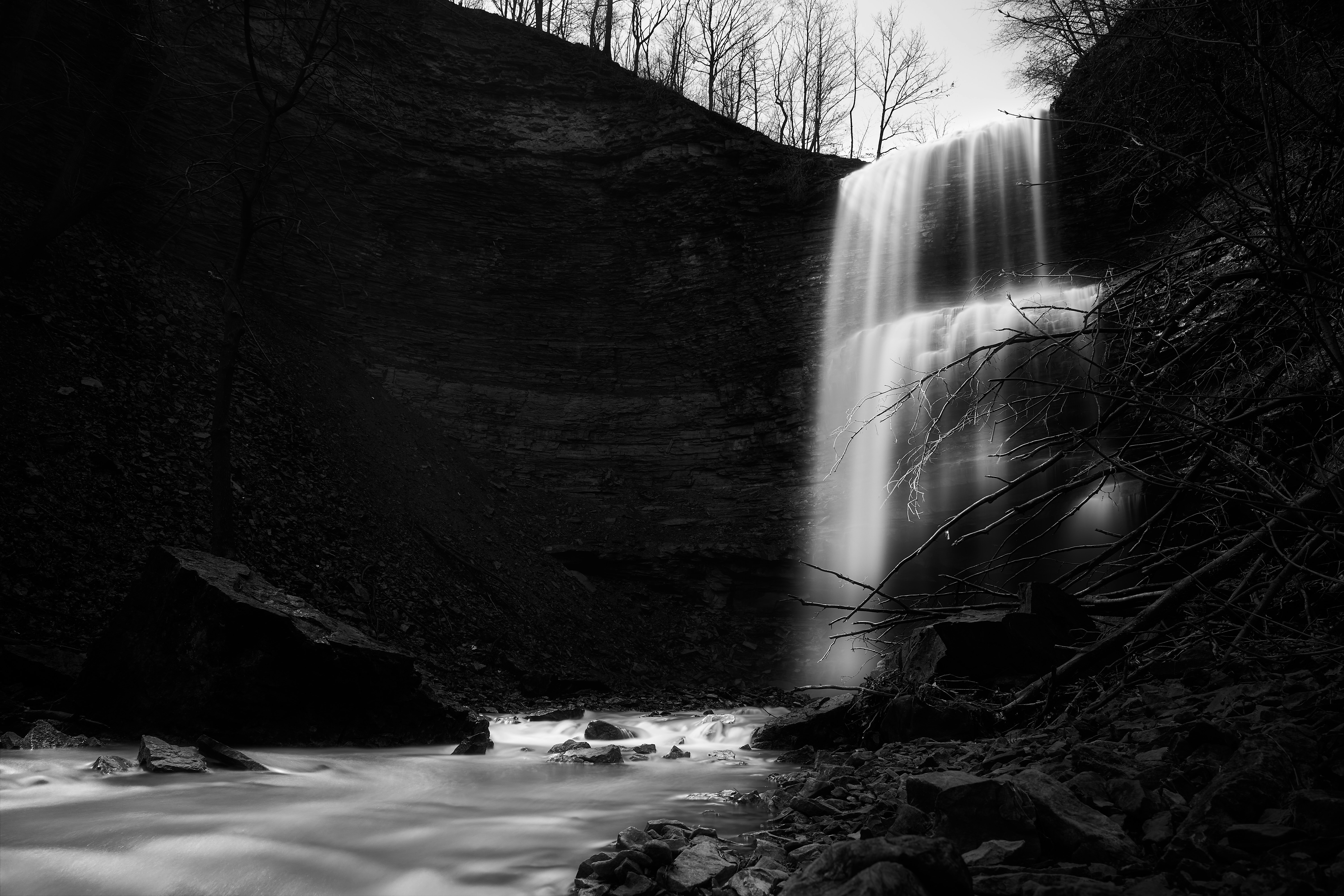 Photo by wolfgang_hasselmann