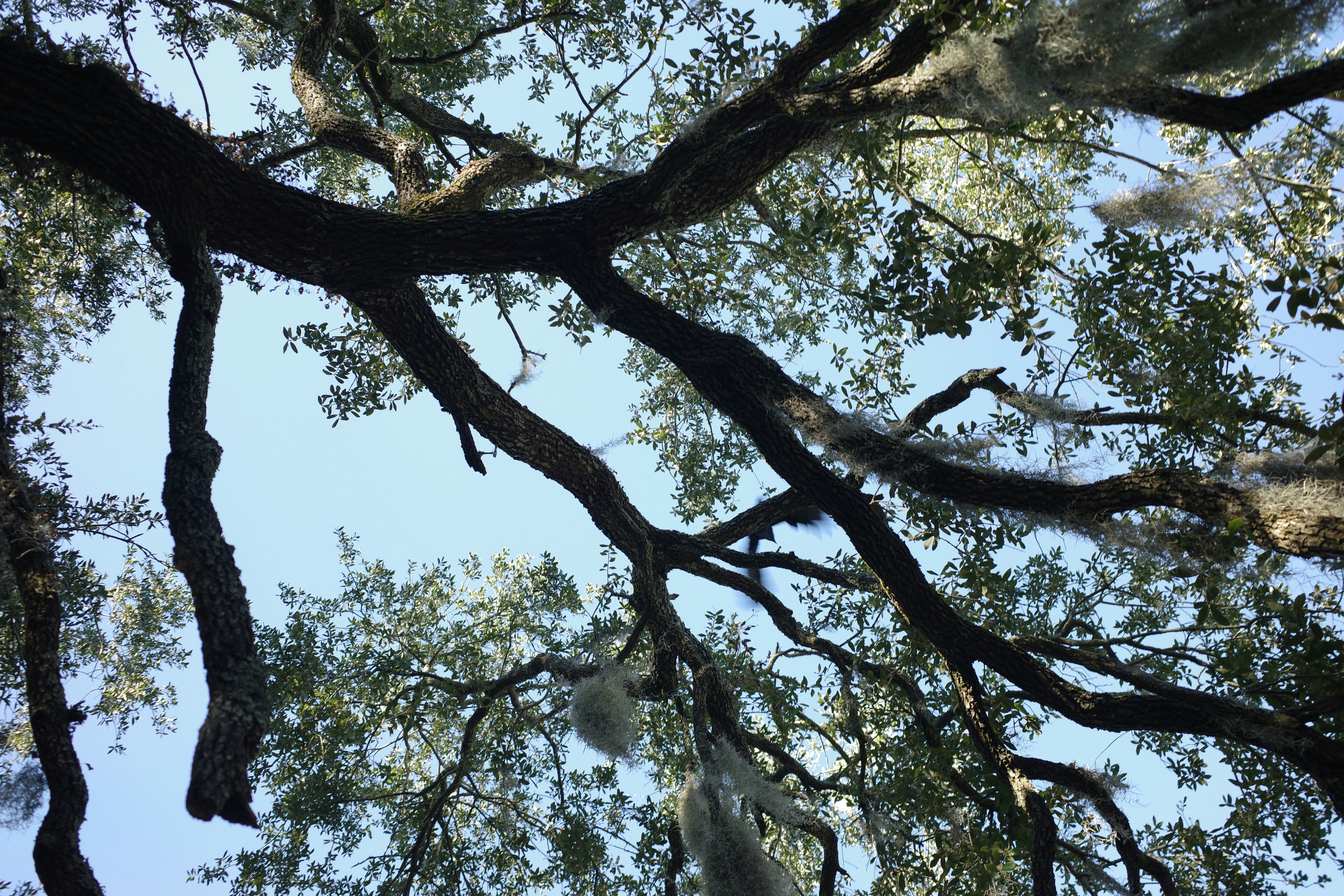 Photo by rudosdesignstudio