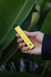 Hand holding a compact vape device with a cannabis leaf logo in the background.