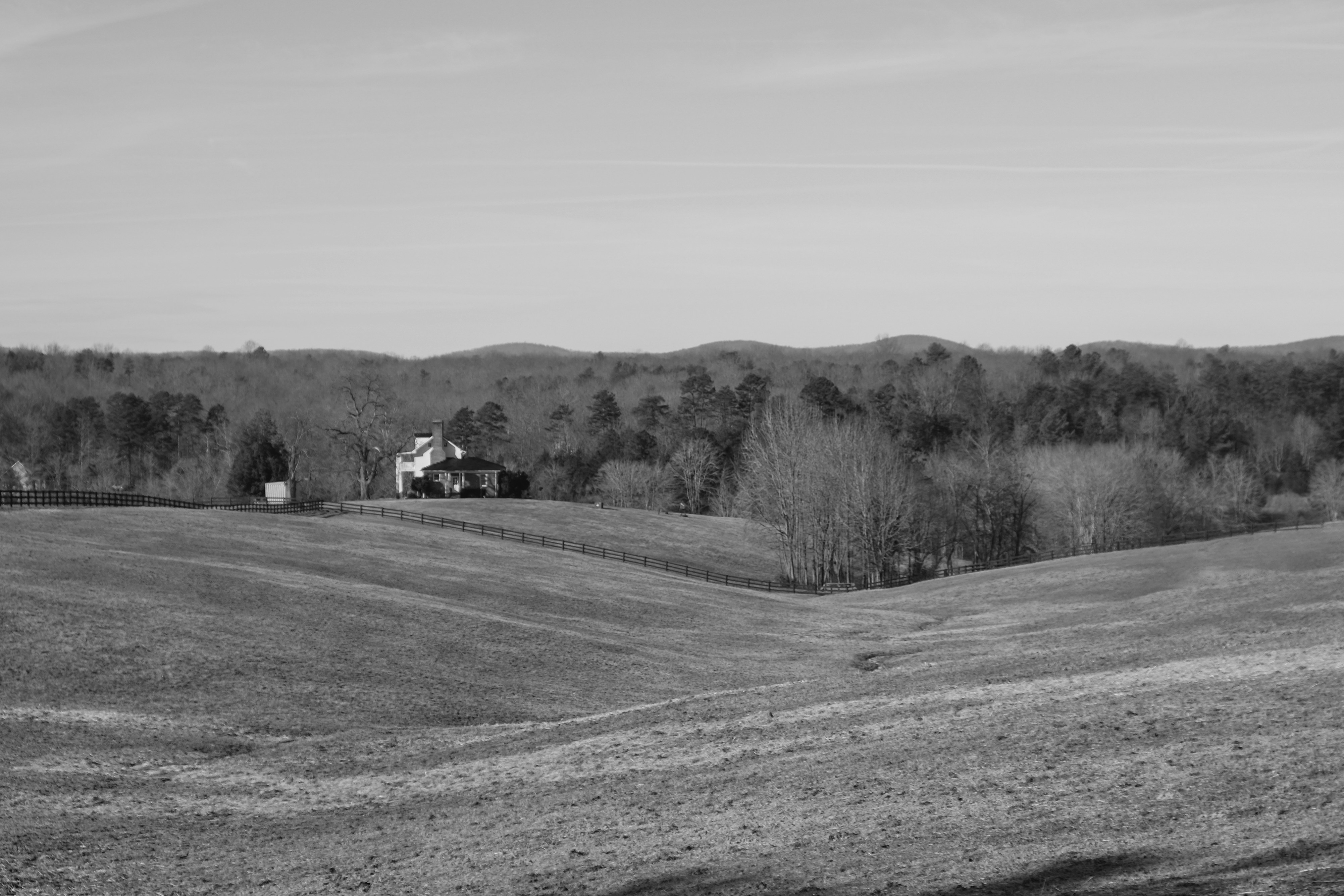 Photo by fruitfullmedia