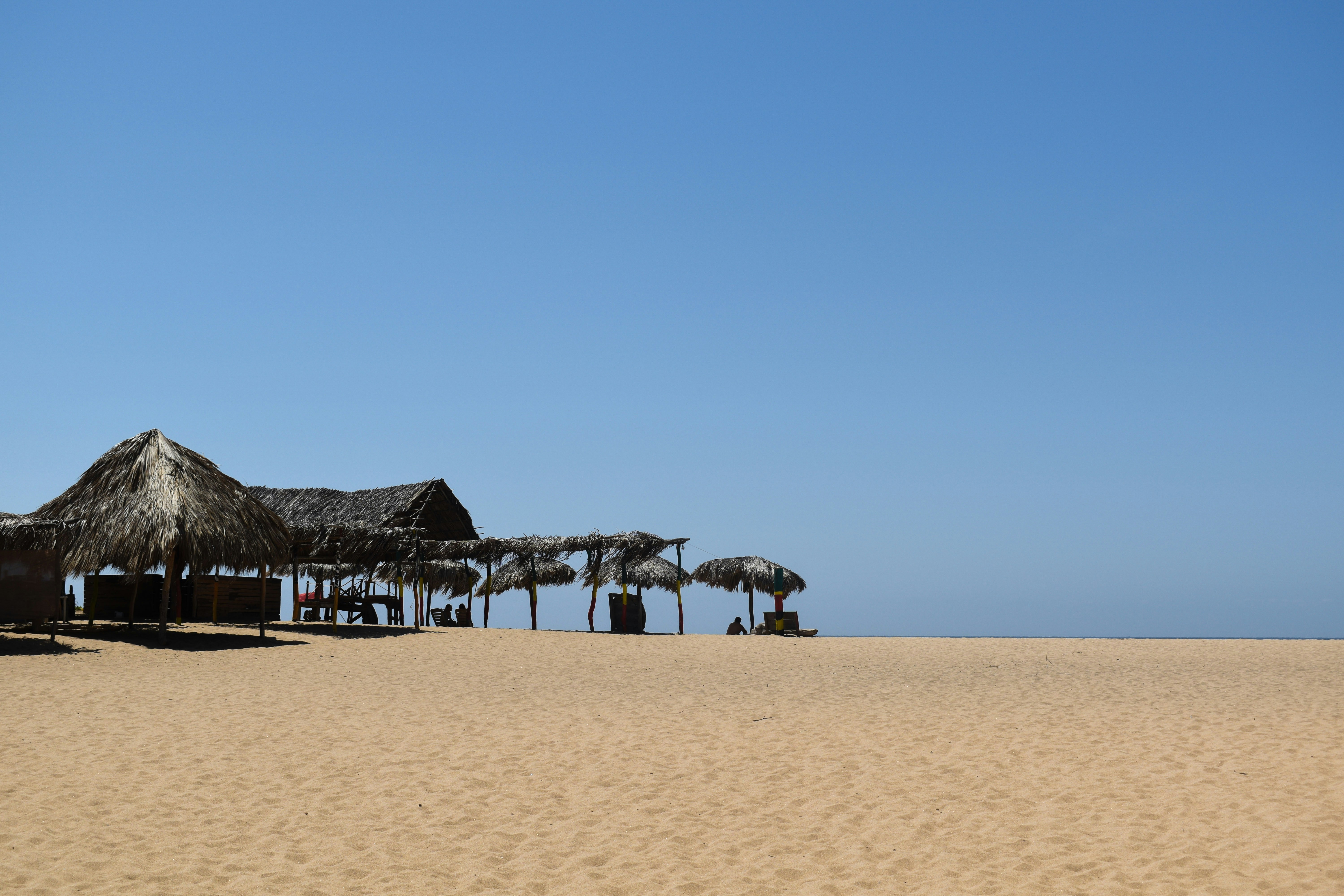 Photo by murphys_photos