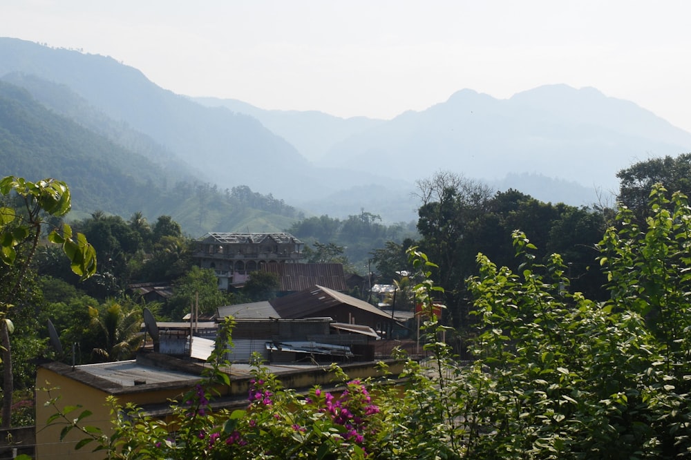 a view of a village with mountains in the background