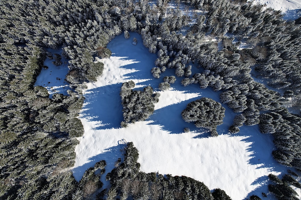 an aerial view of a snow covered forest