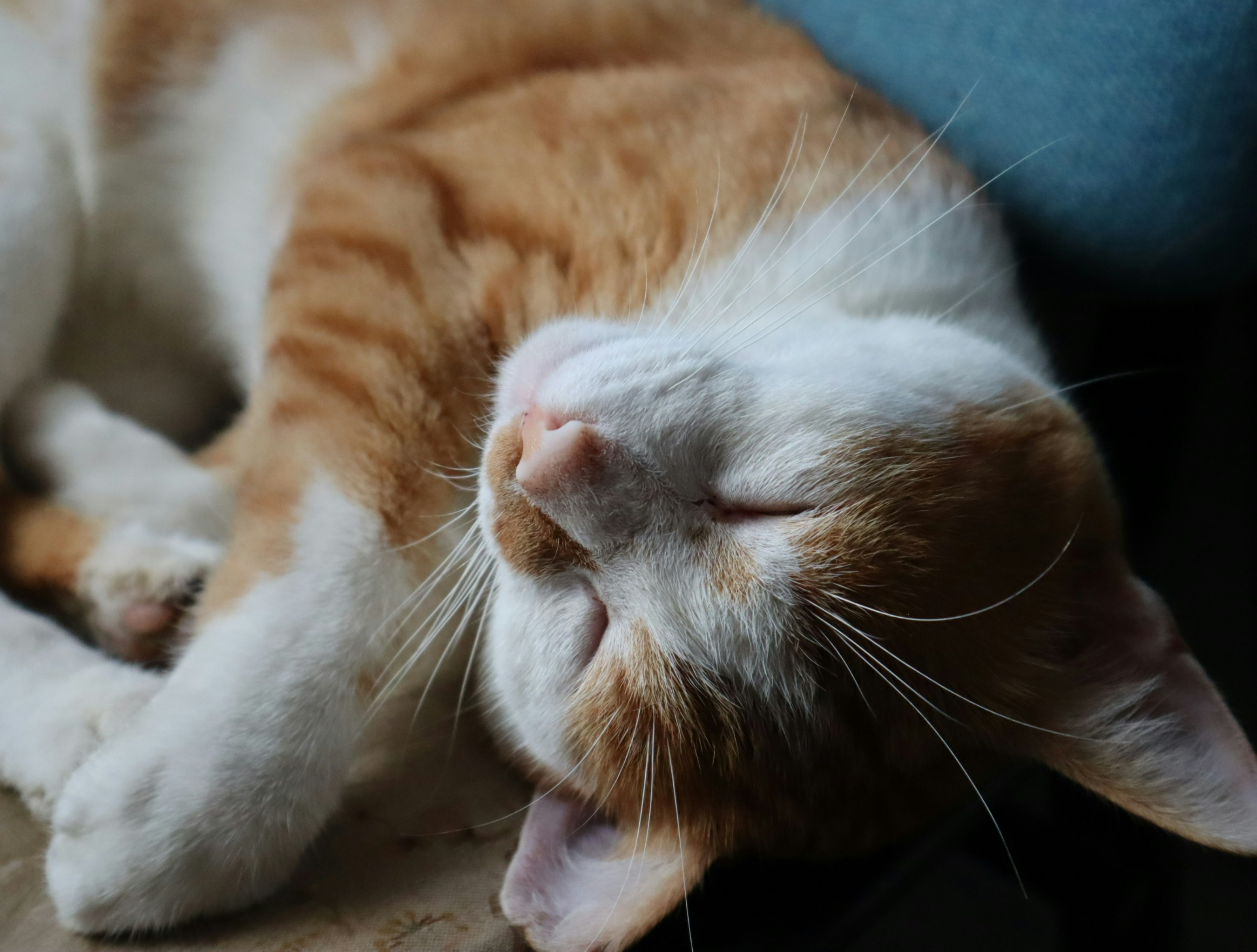 Photo by tanya_hurii