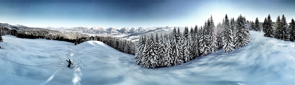 Un dipinto di una montagna coperta di neve con alberi