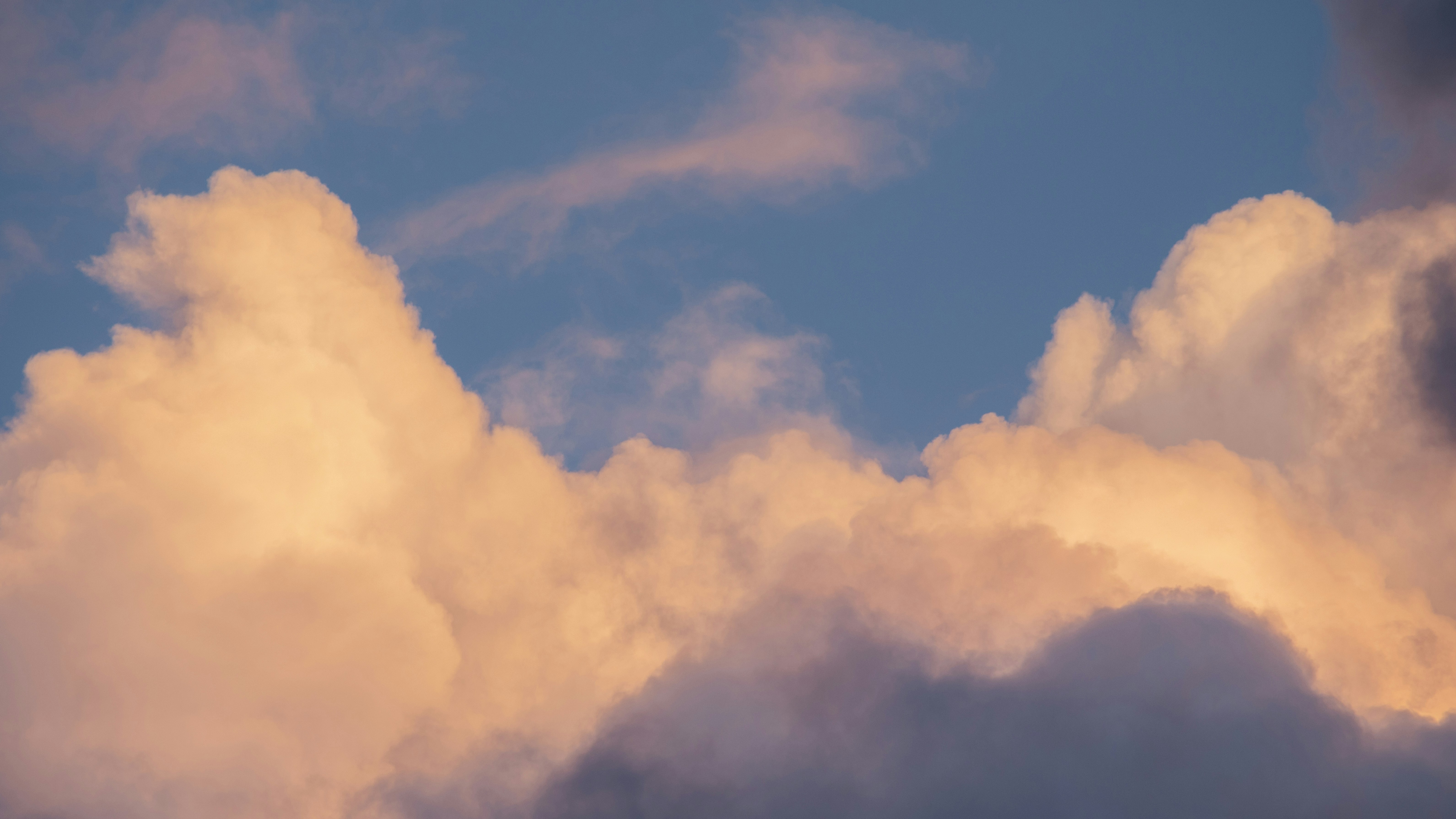 Photo by artbyhybrid