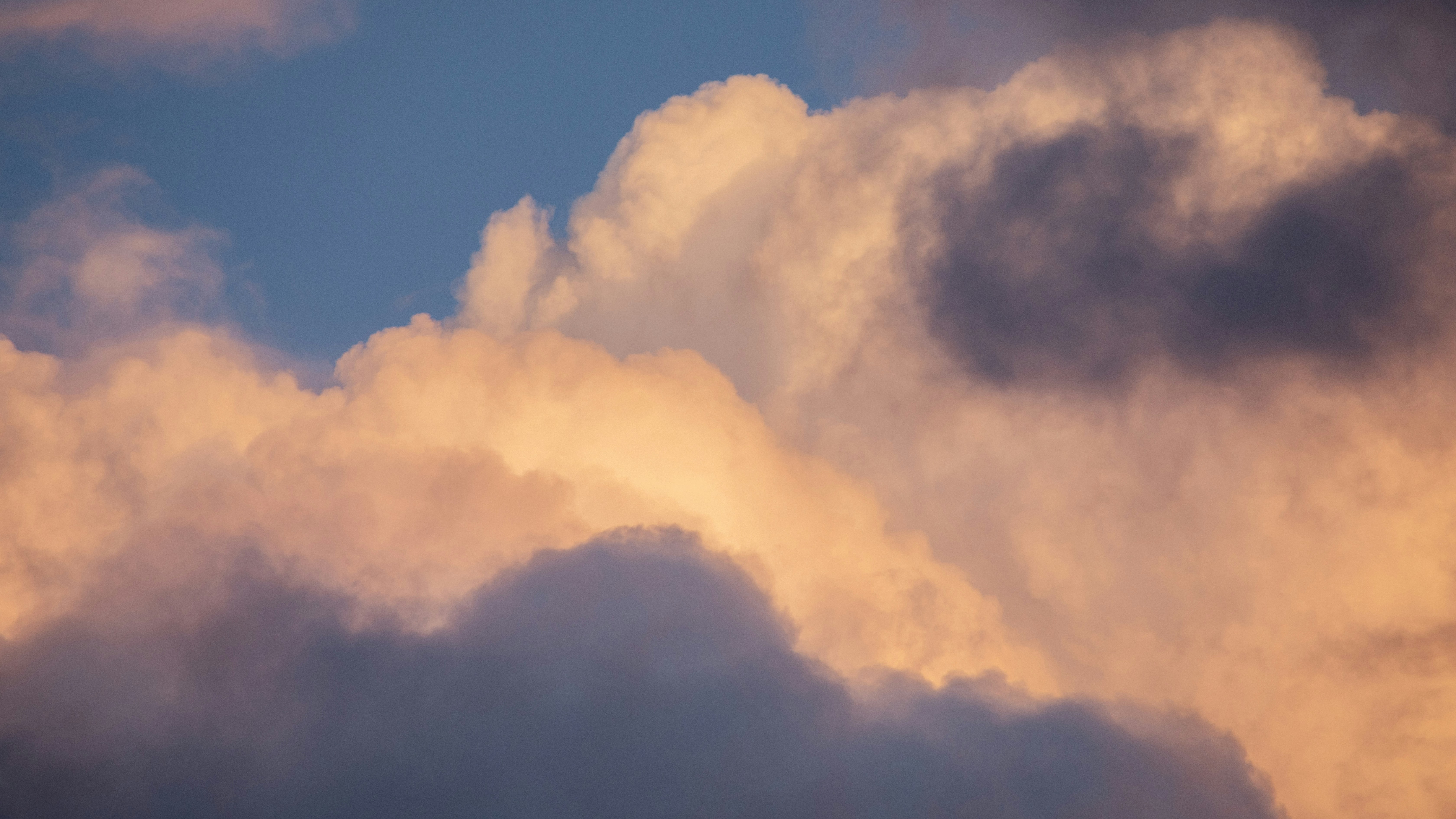 Photo by artbyhybrid