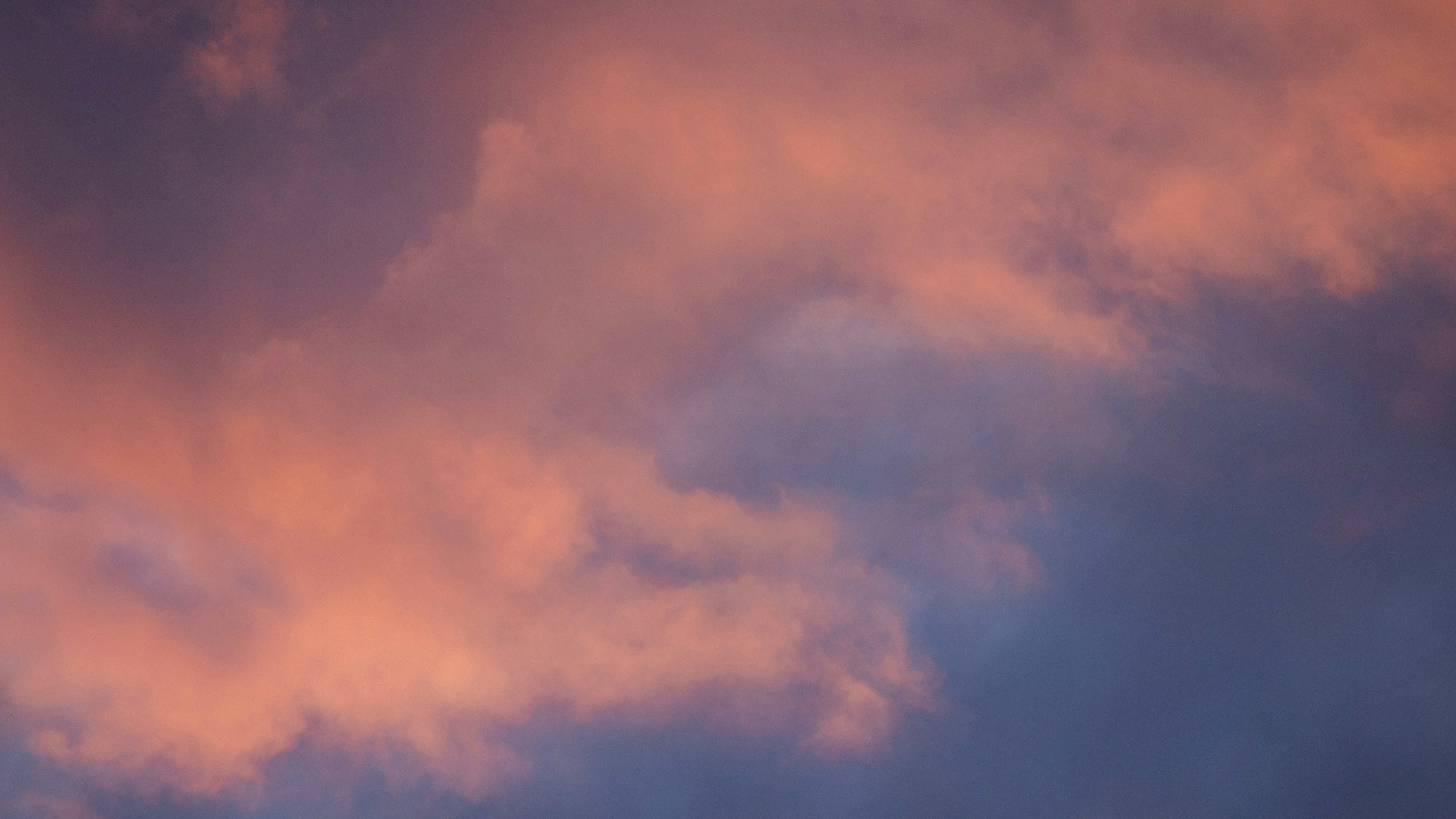 Photo by artbyhybrid