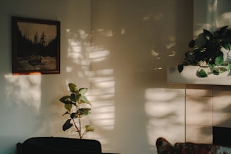 A bright room wall adorned with a large painting of a serene forest path bathed in sunlight.