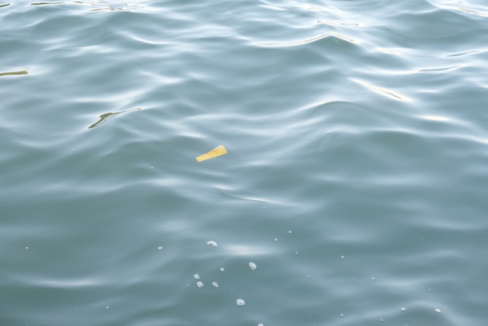 a yellow object floating on top of a body of water