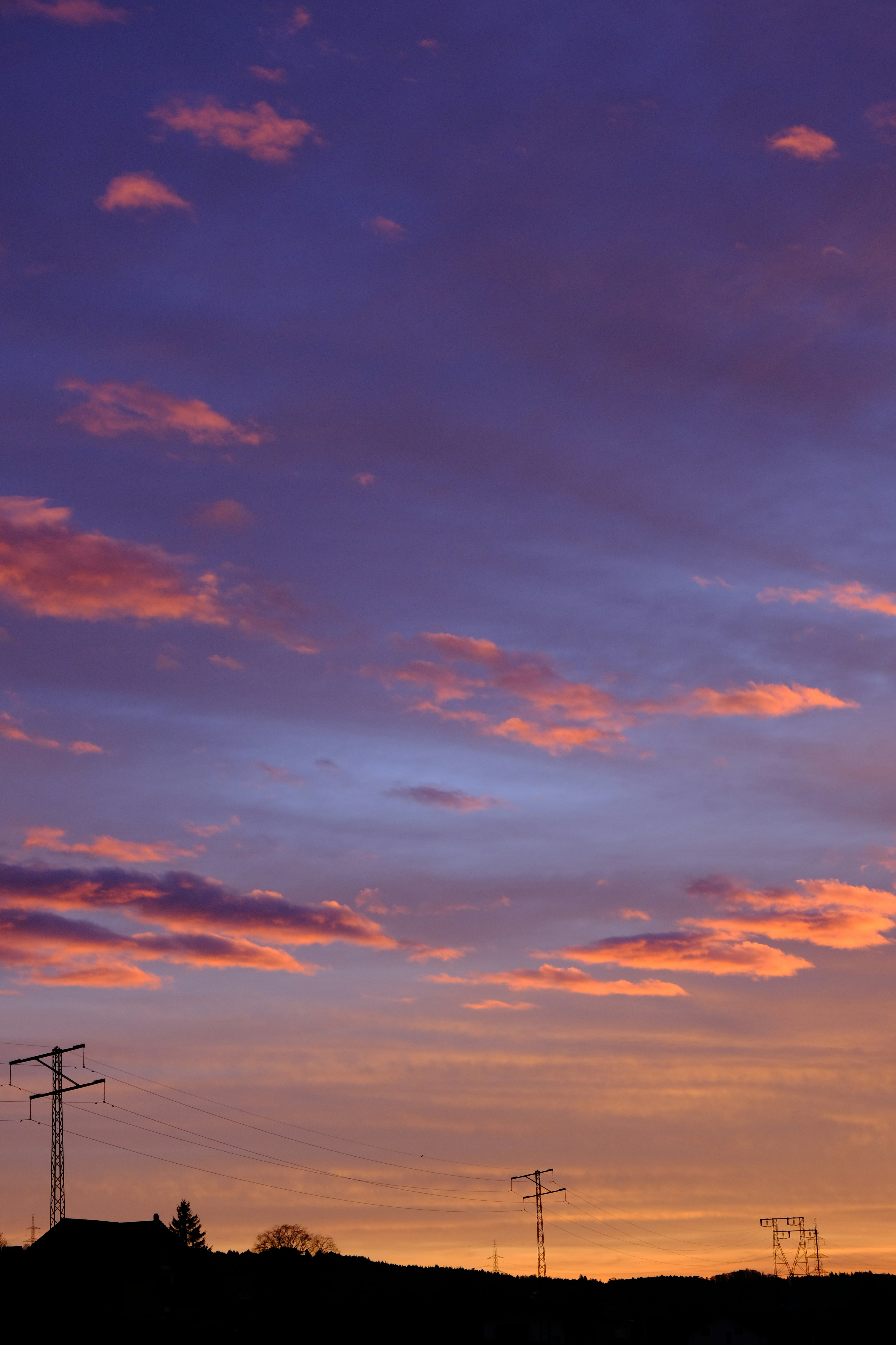 Photo by shanewester