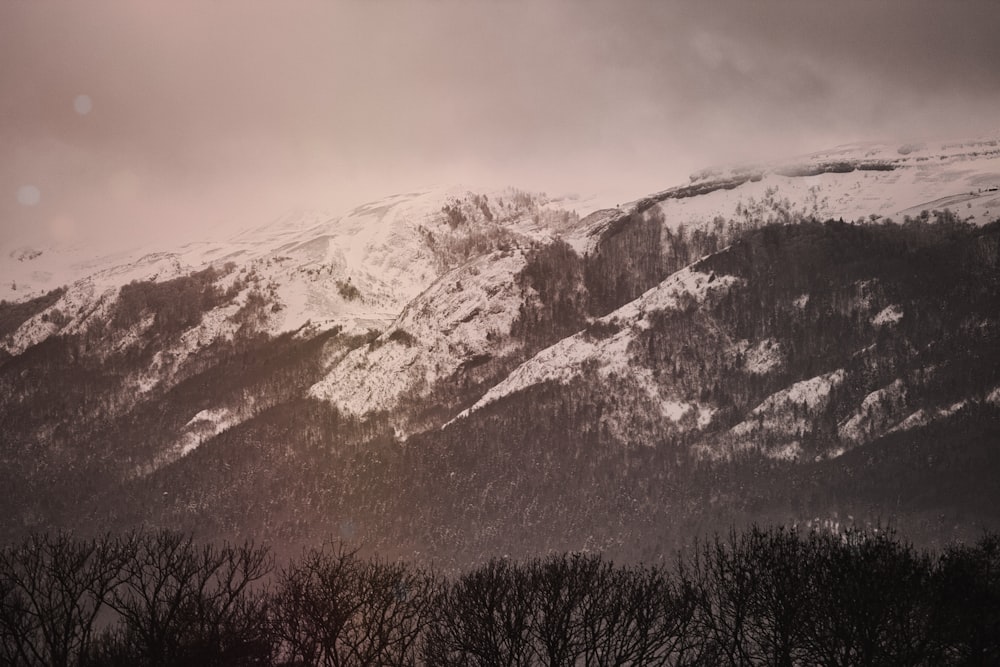 a snow covered mountain with trees in the foreground