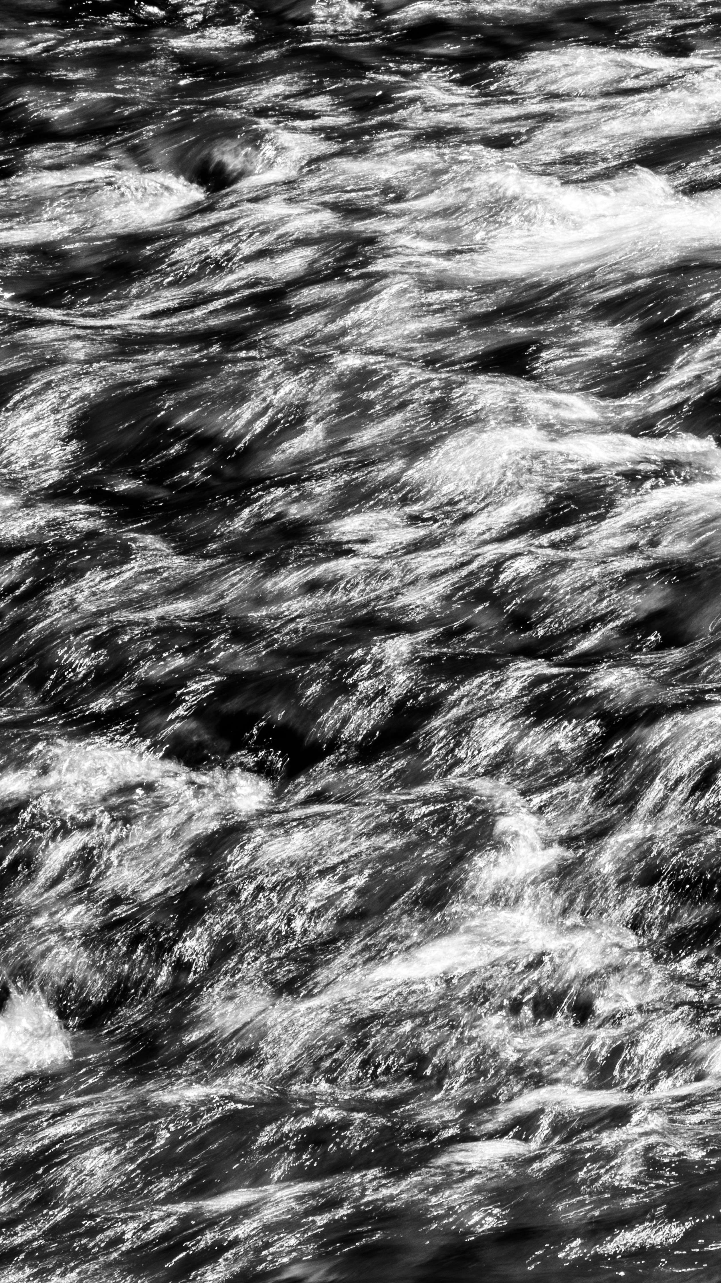 Photo by artbyhybrid