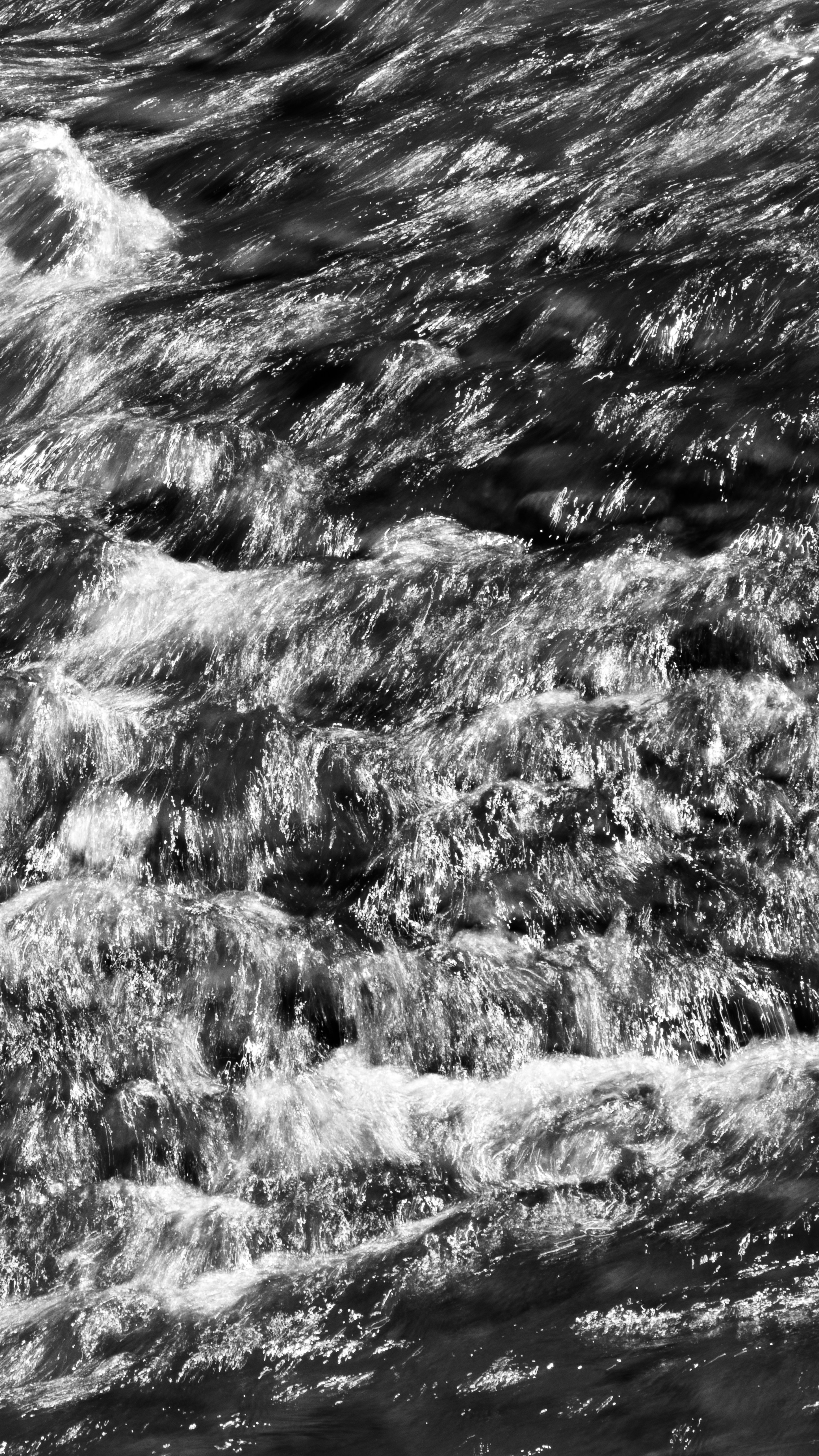 Photo by artbyhybrid