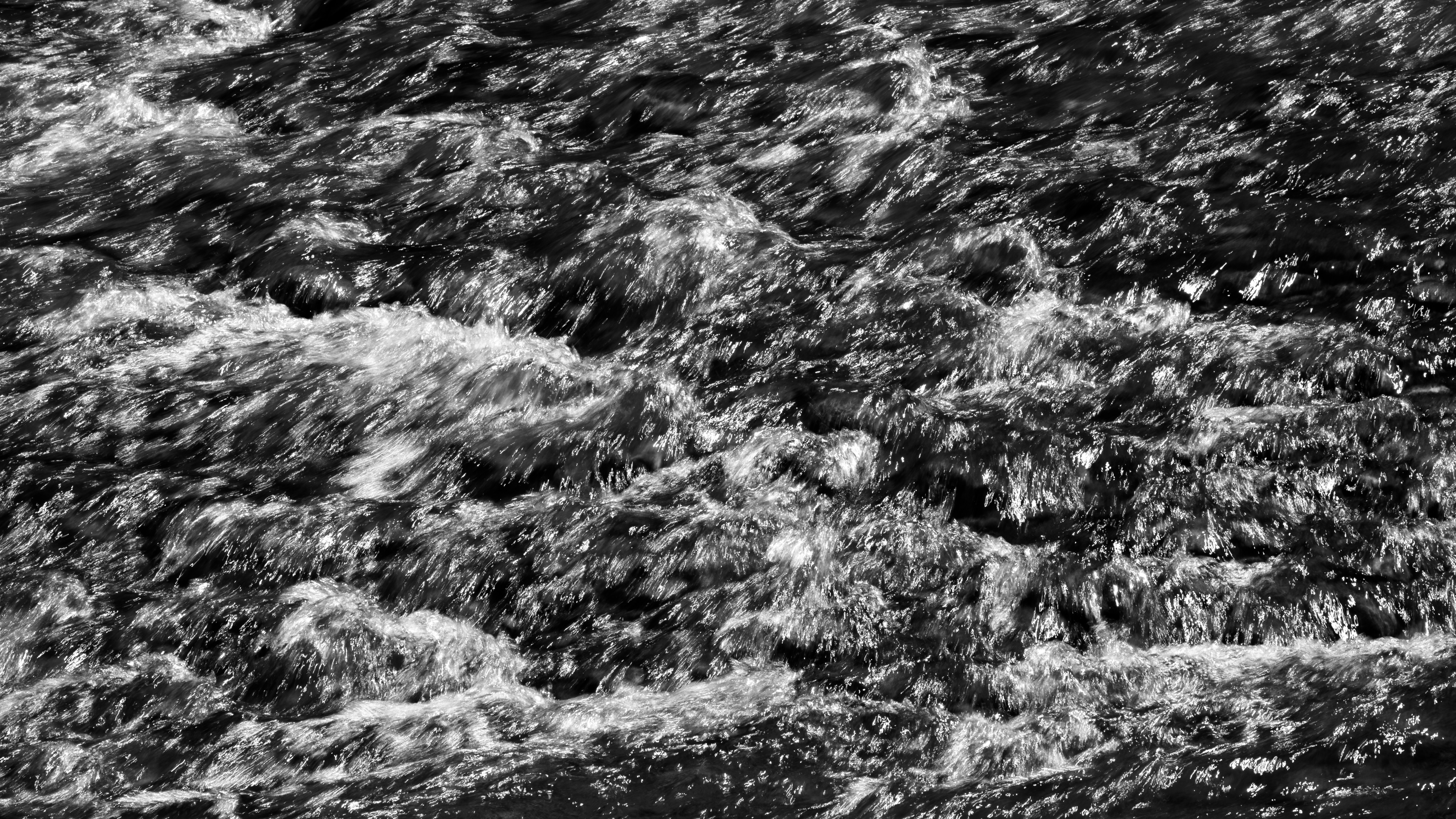 Photo by artbyhybrid