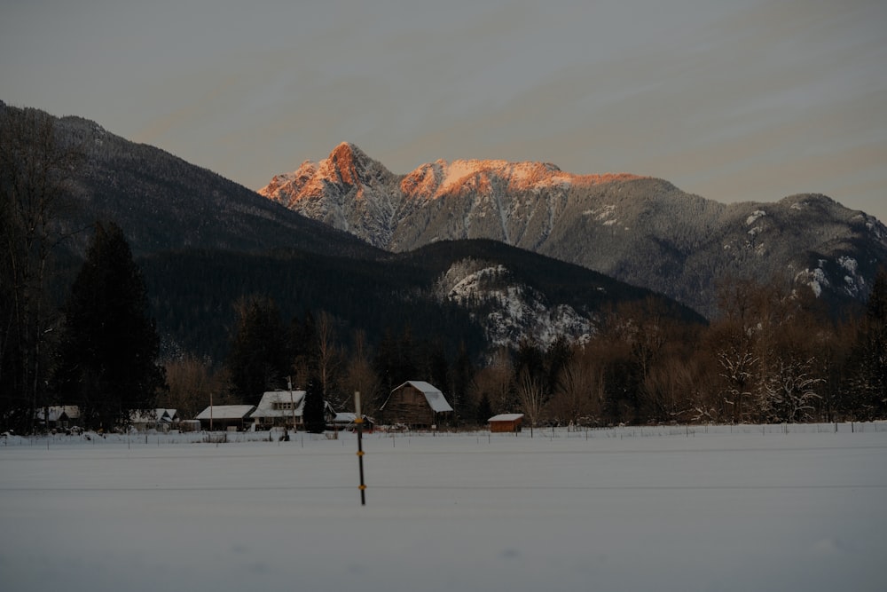 um campo coberto de neve com montanhas ao fundo