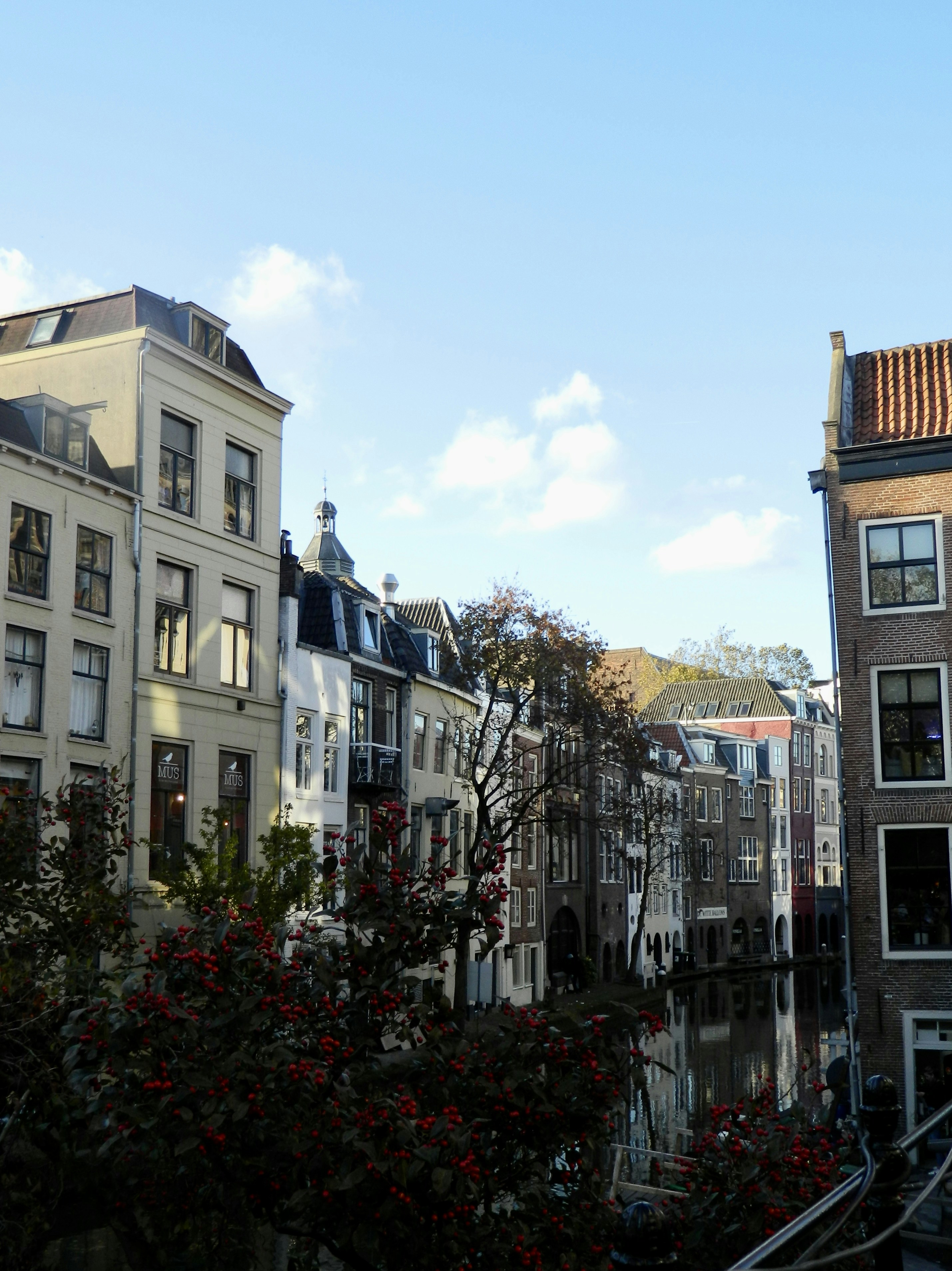 Photo by ezgideliklitas