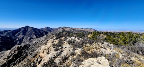 A stunning panoramic view of the puna landscape surrounding Lagunillas del Farallon, with mountains under a clear blue sky.