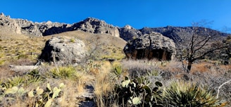The rugged Arizona desert landscape with distant mountains under a calm, expansive sky.