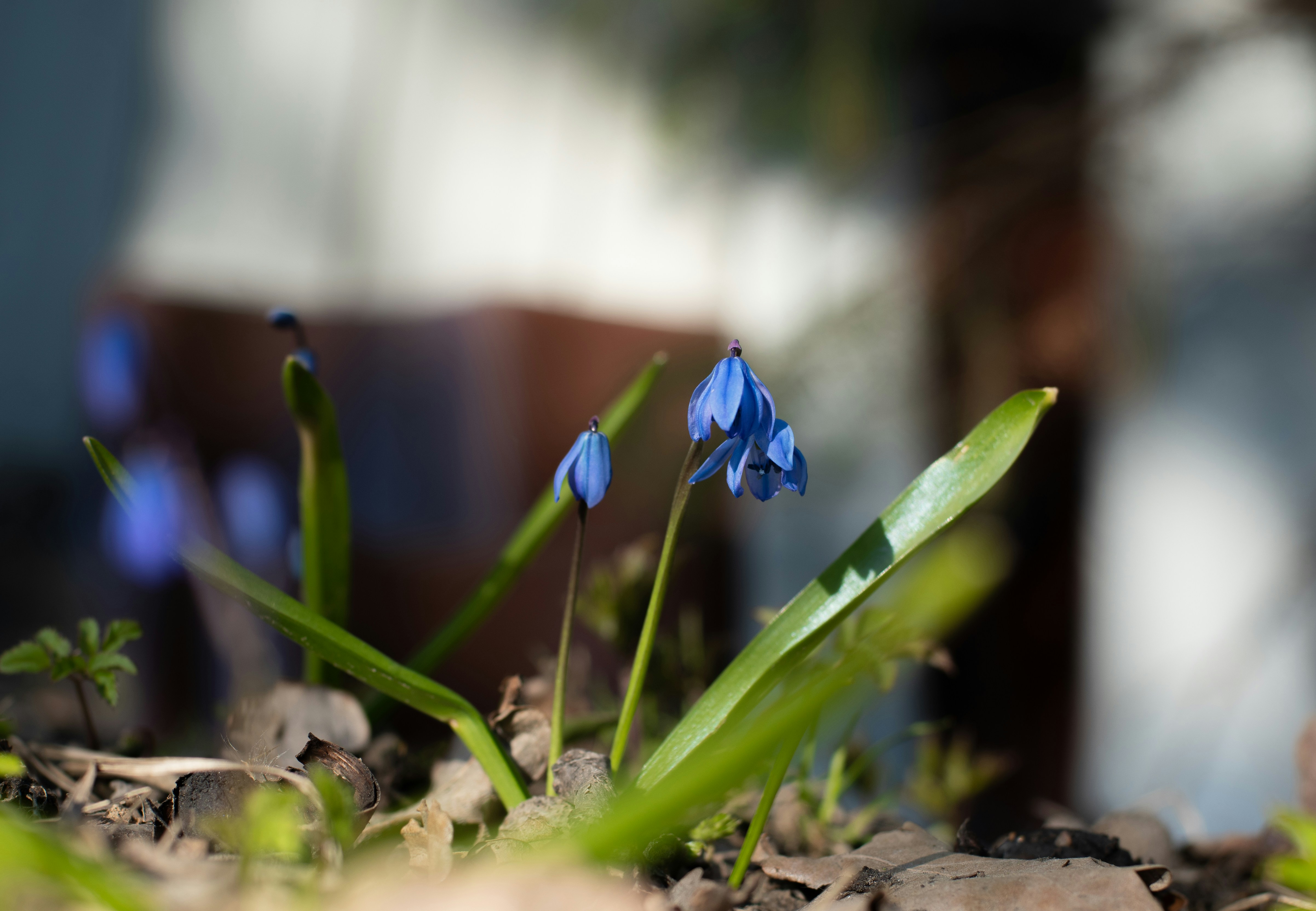 Photo by nataliaraylenegusakova