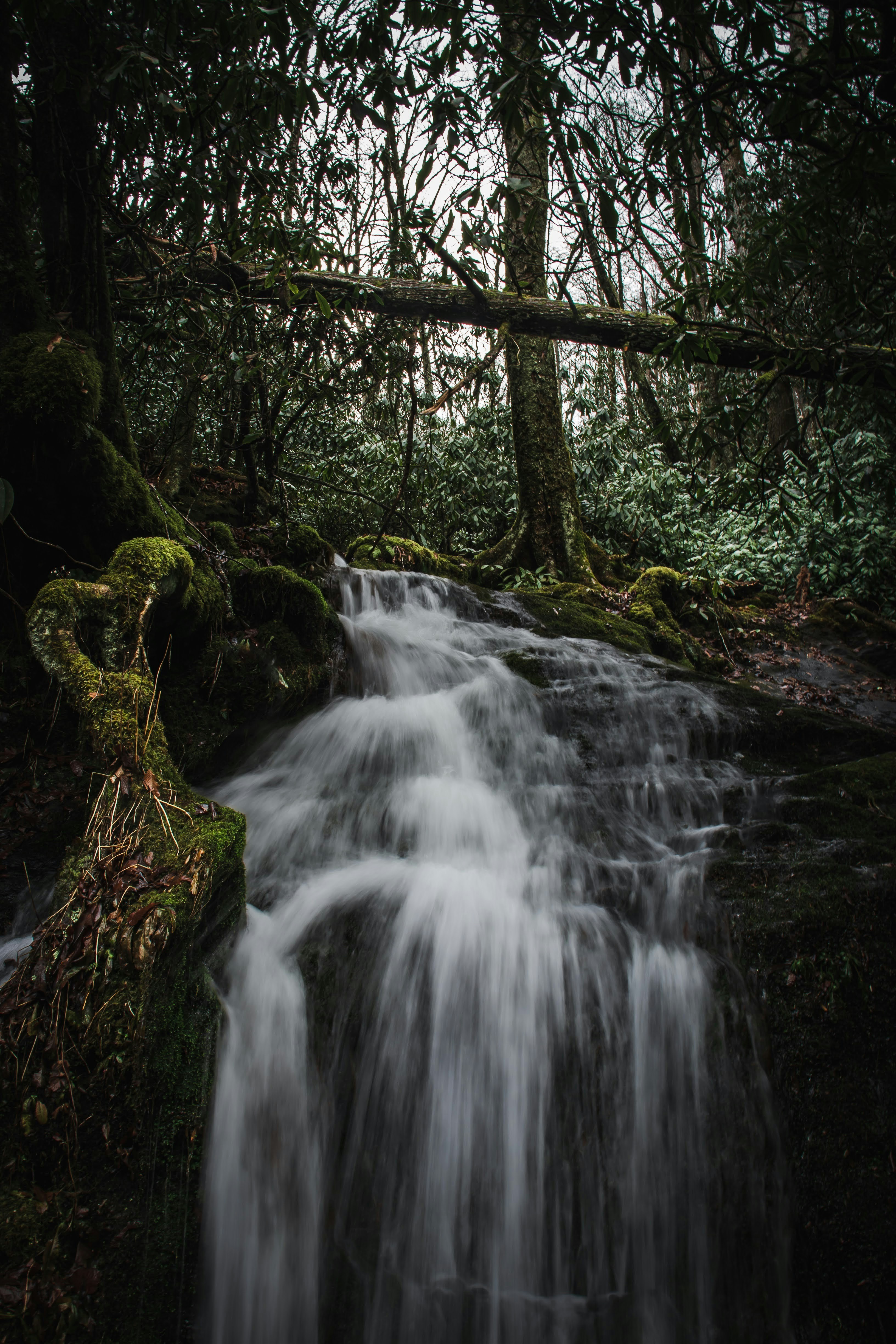 Photo by brice_cooper18