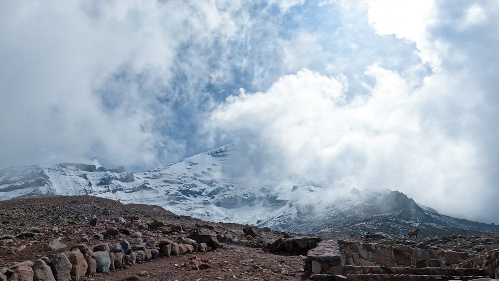 a rocky path leading to a snow covered mountain