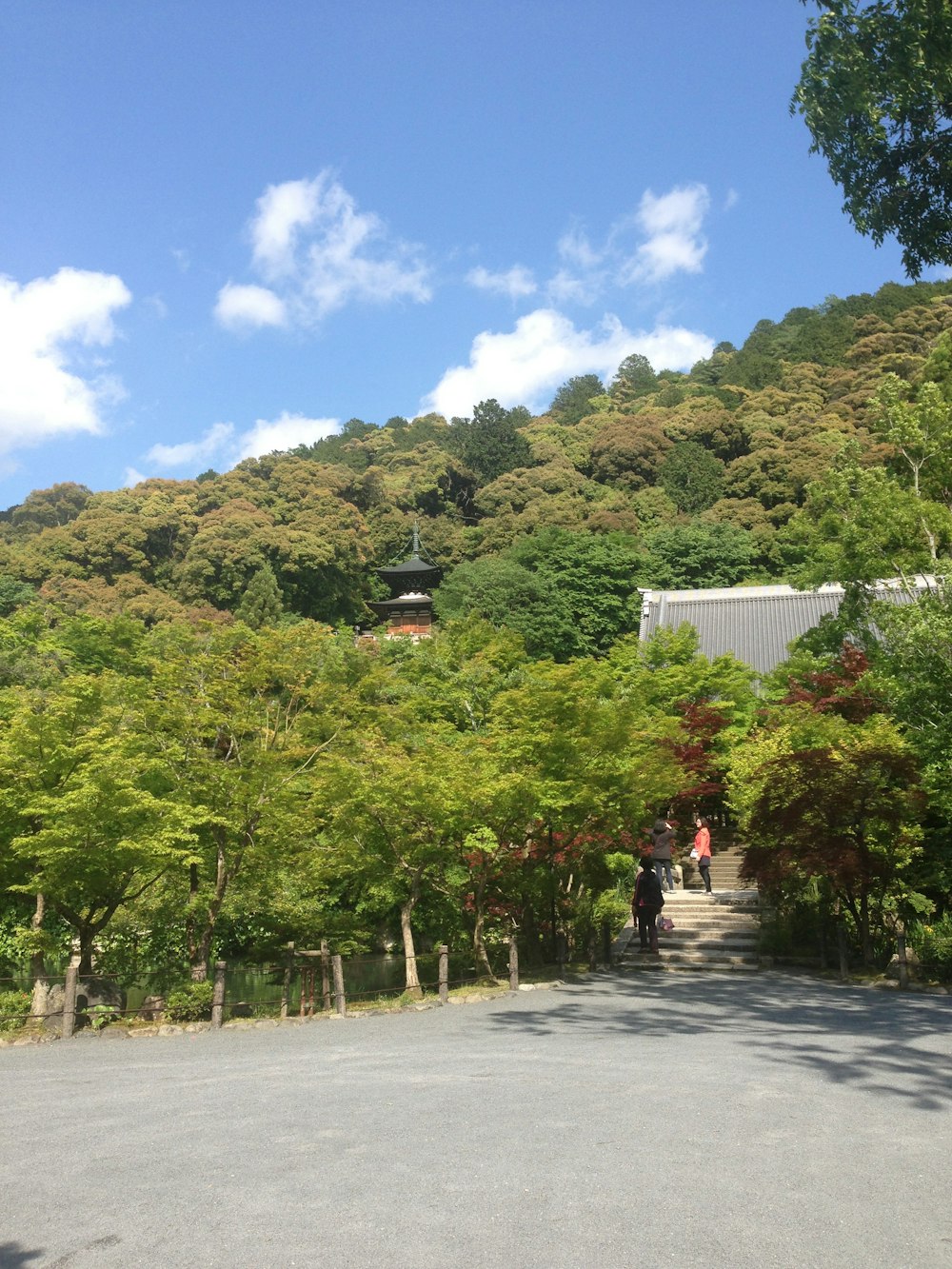 a group of people walking down a road next to a lush green hillside