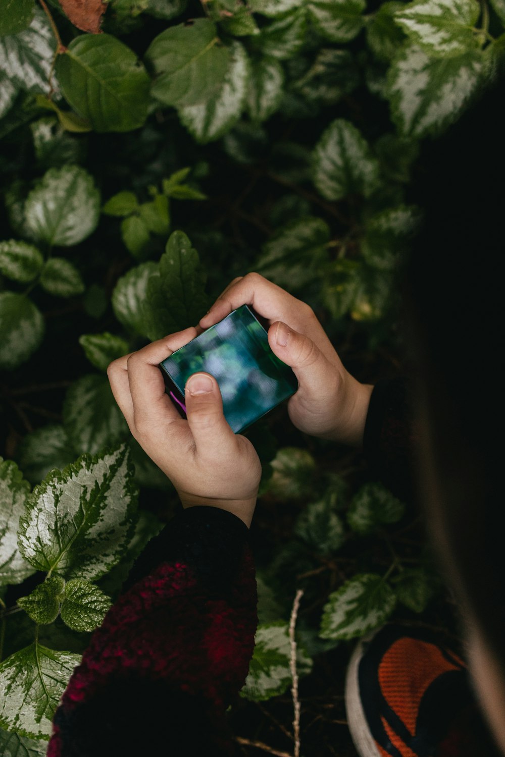 a person holding a cell phone in their hands