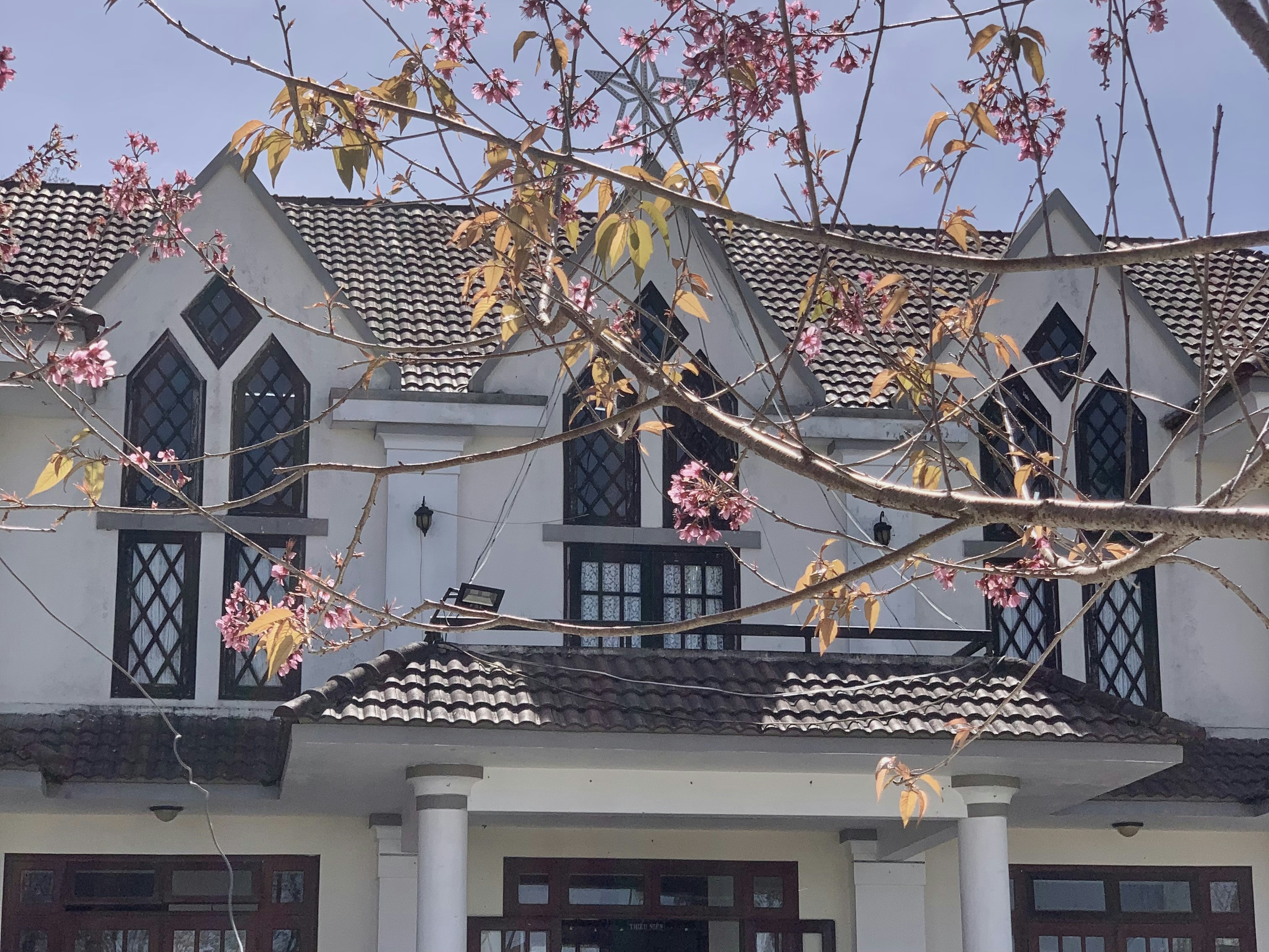 a large white house with a tree in front of it