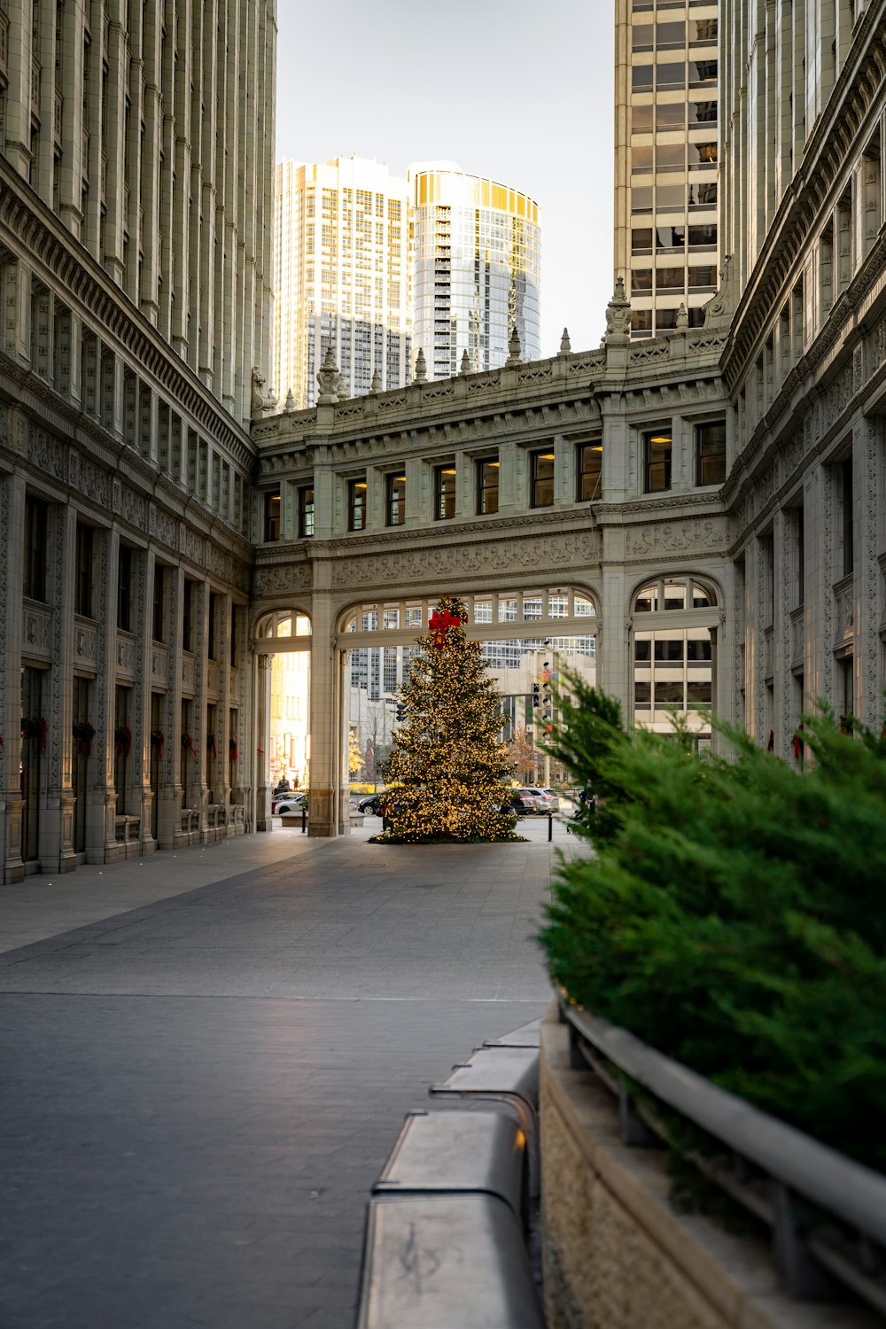 a christmas tree is in the middle of a courtyard