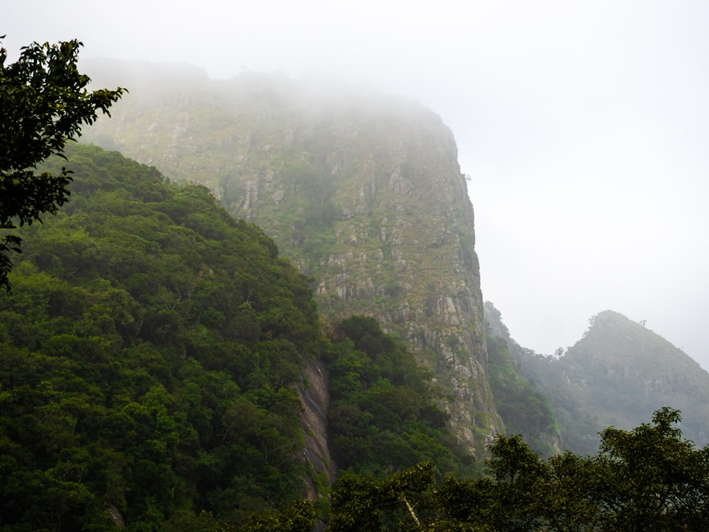 a very tall mountain covered in fog and trees