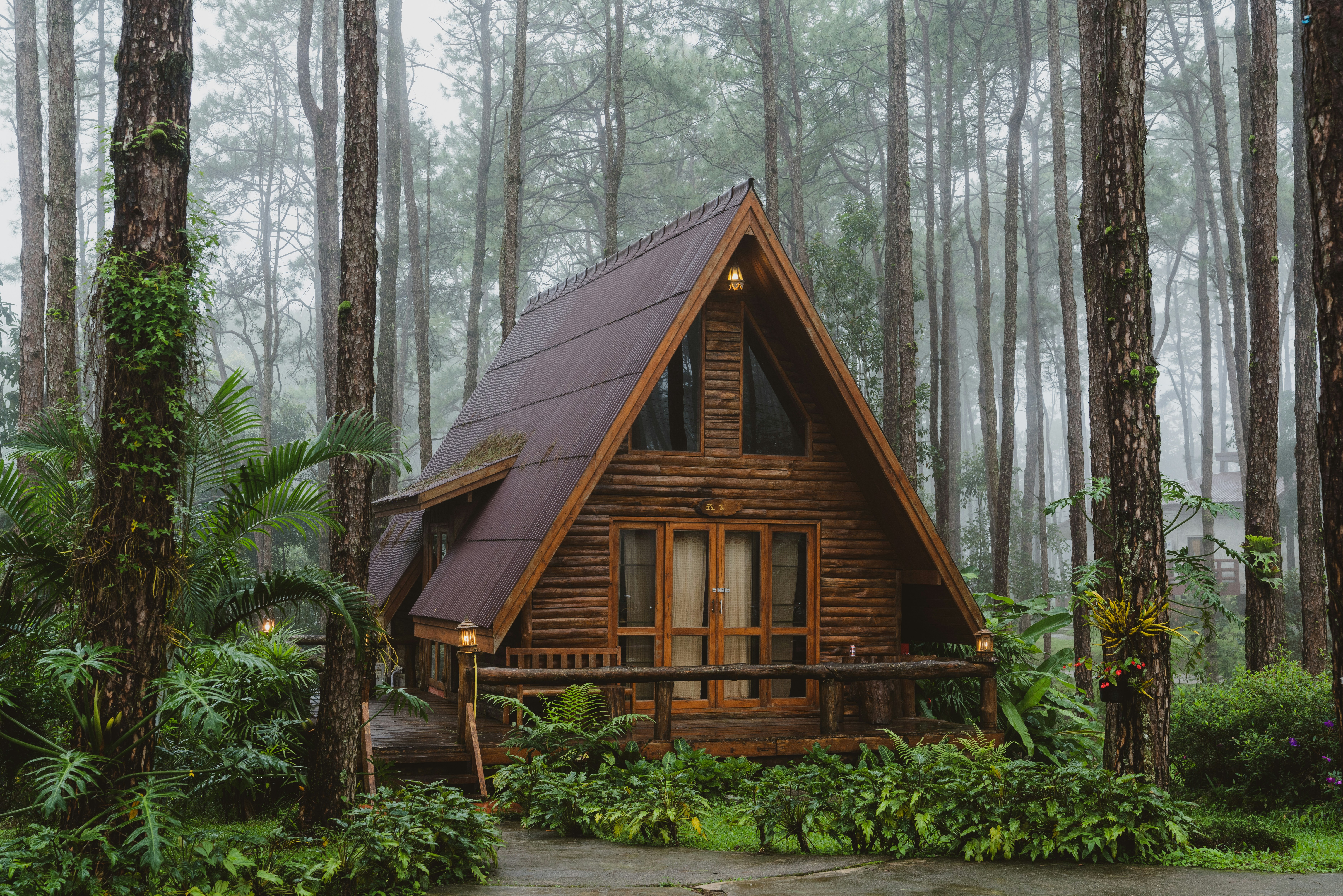 A apex roofed wooden cabin sitting within a tropical green misty forest in Northern Thailand.