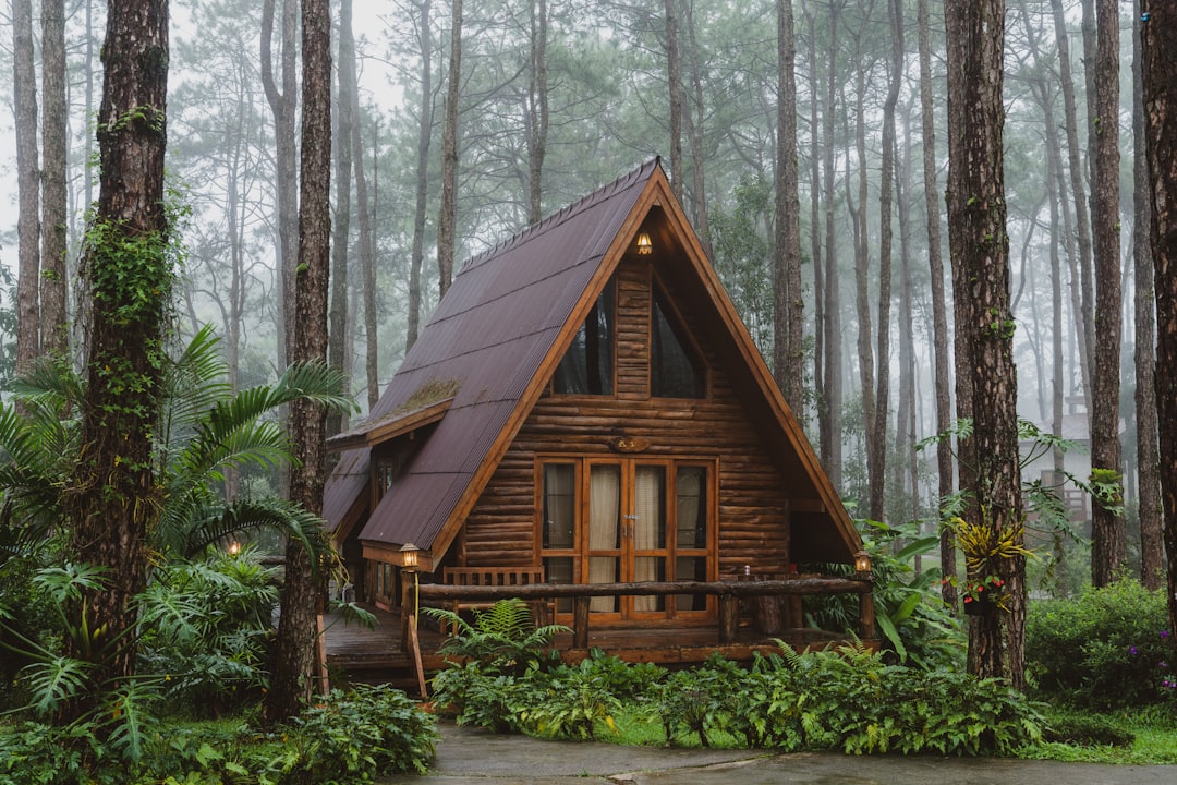 a small cabin in the middle of a forest, A apex roofed wooden cabin sitting within a tropical green misty forest in Nort