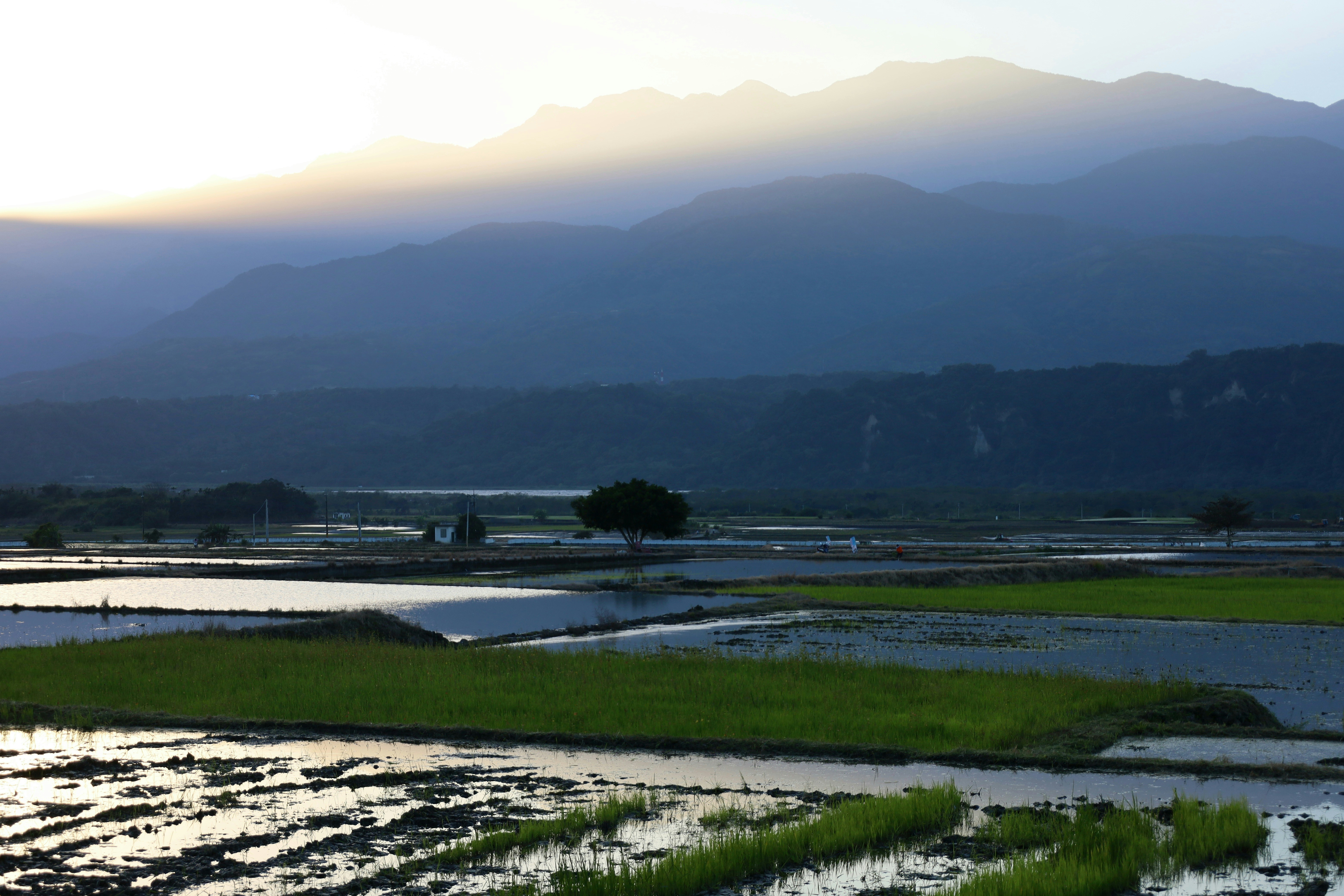 Photo by yoyocameraworld