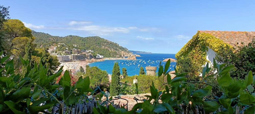 a view of a body of water from a hill