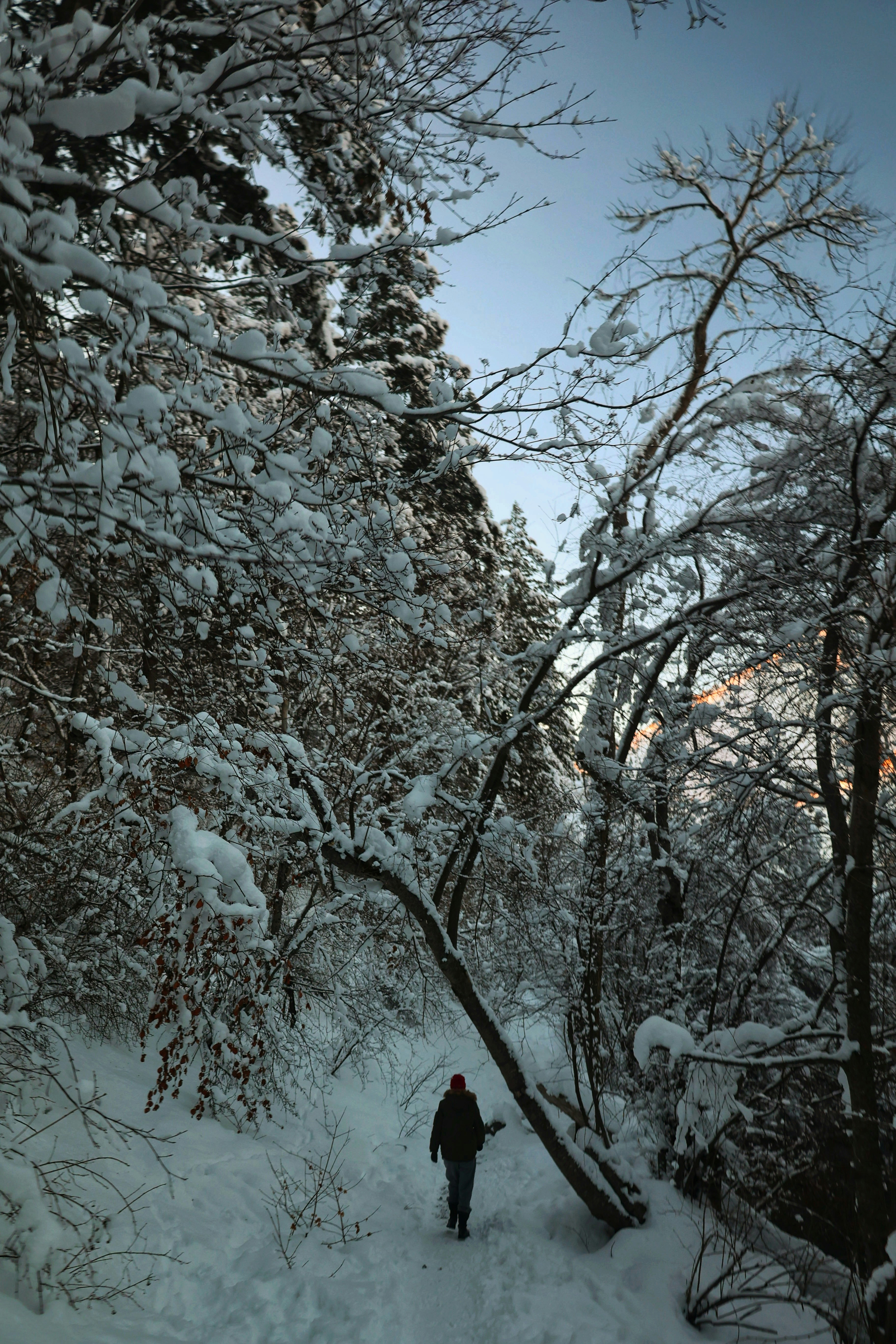 Photo by joshua_hoehne