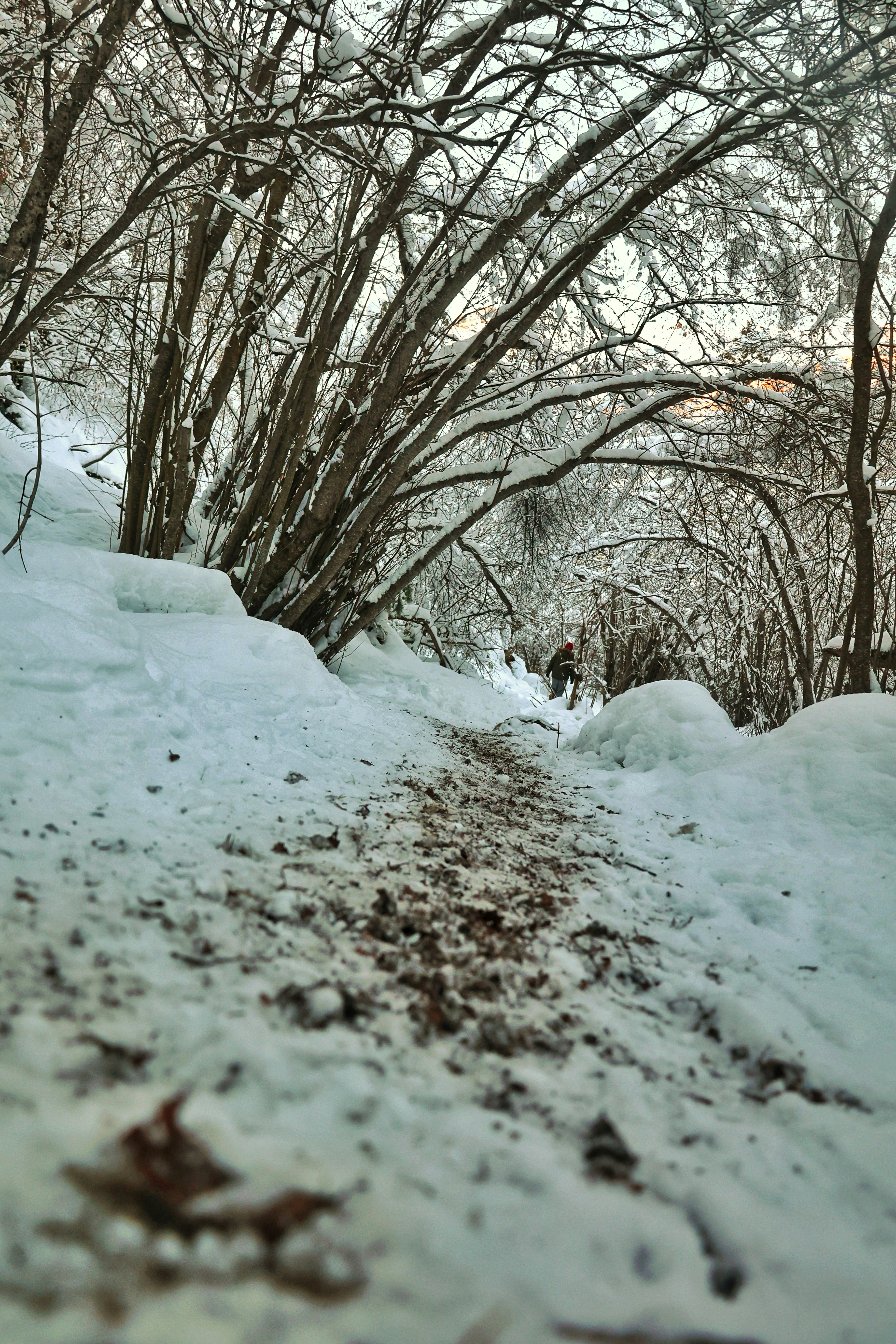 Photo by joshua_hoehne