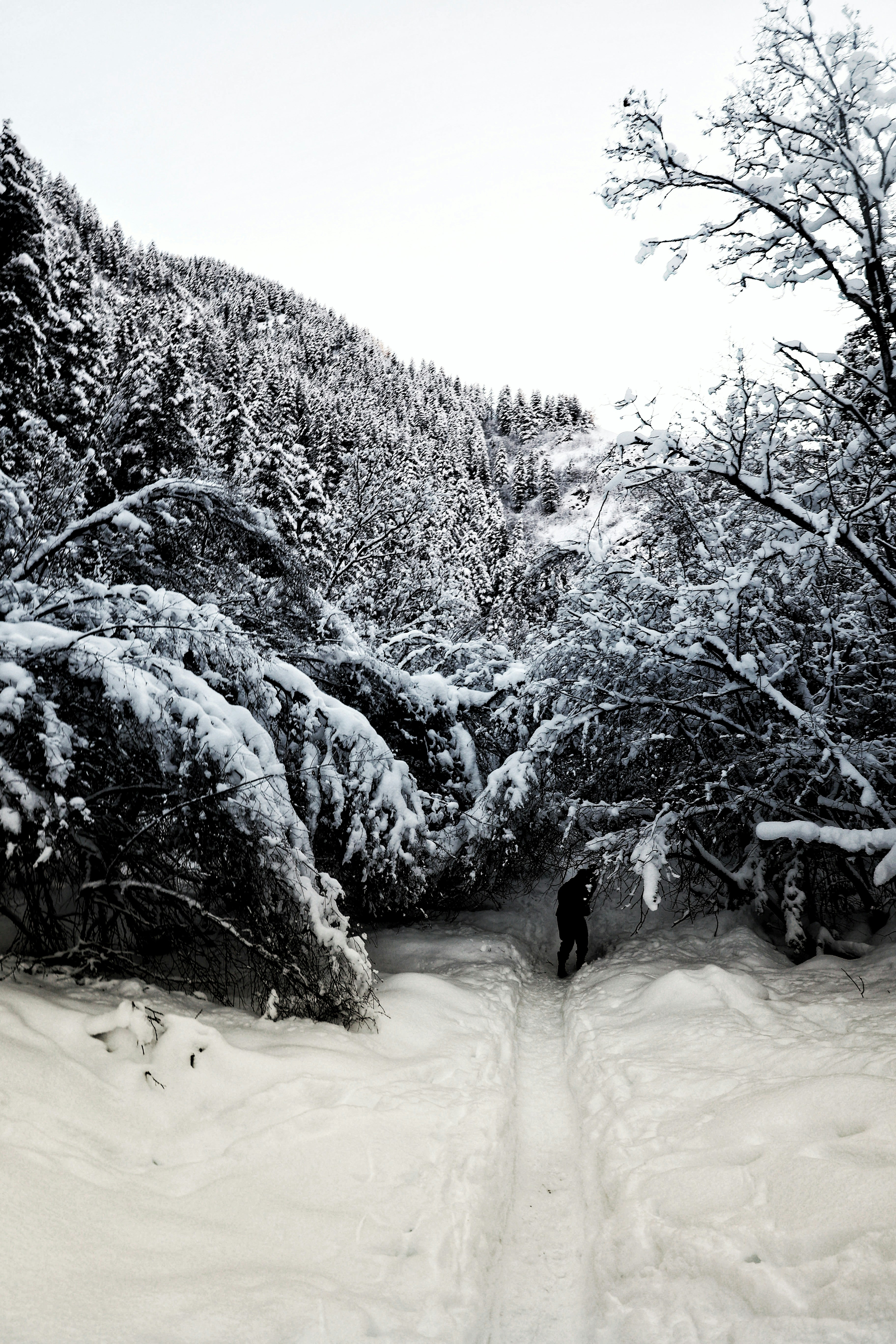 Photo by joshua_hoehne